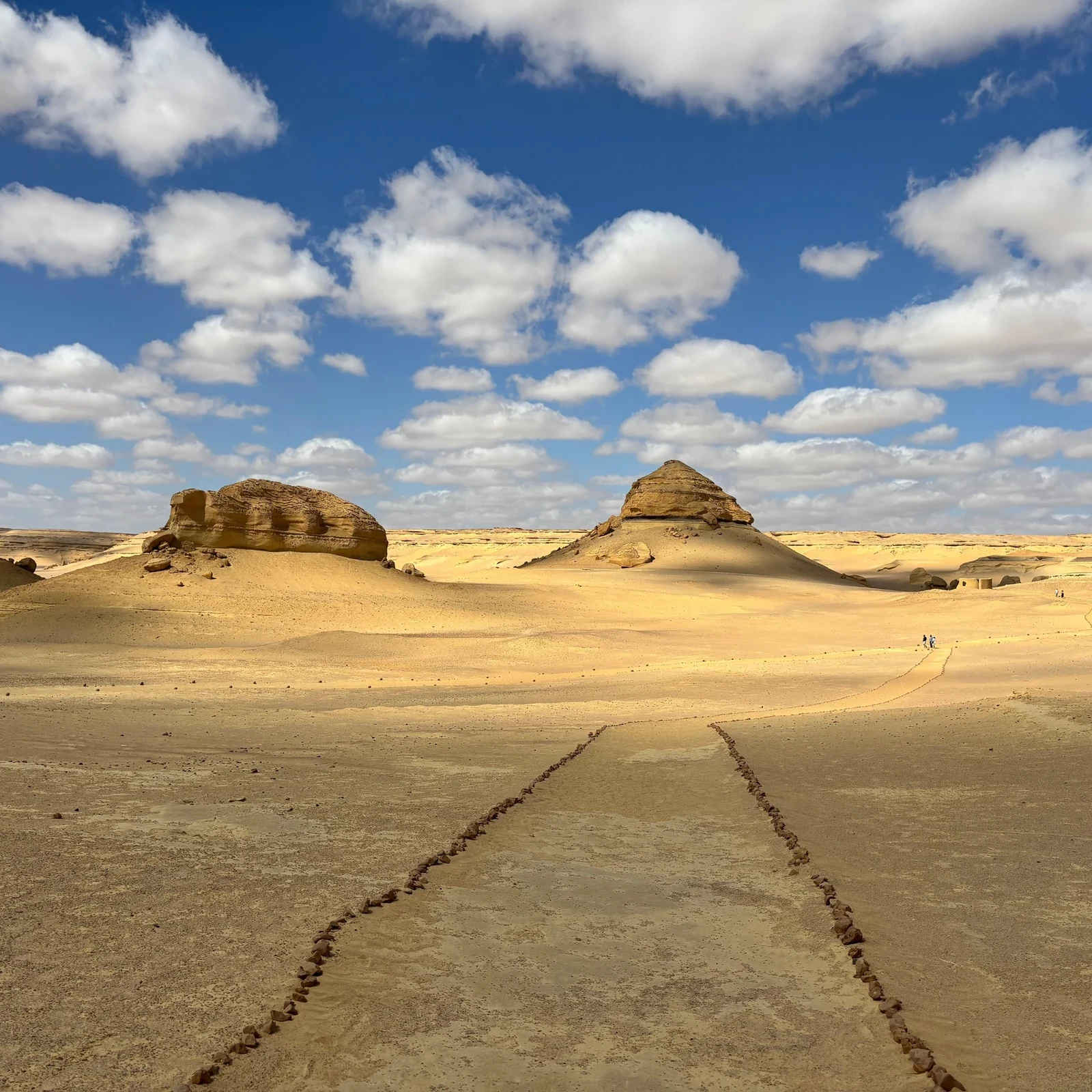 El Fayoum depuis Le Caire : désert, fossiles et parcours en 4x4