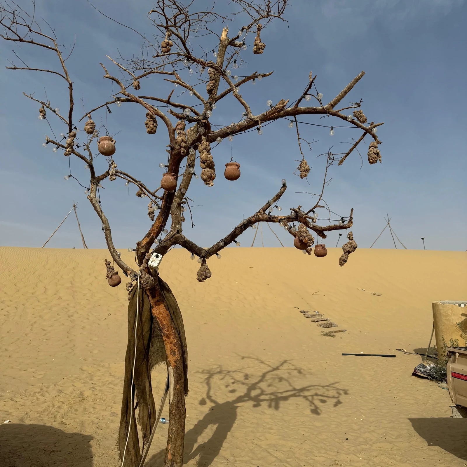 El Fayoum depuis Le Caire : désert, fossiles et parcours en 4x4