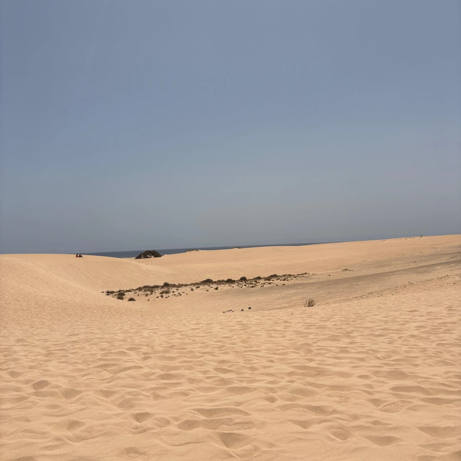 Discover Corralejo’s scenery from an open buggy