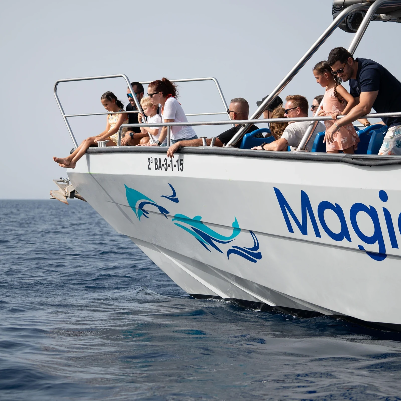 Search for dolphins and whales off Fuerteventura