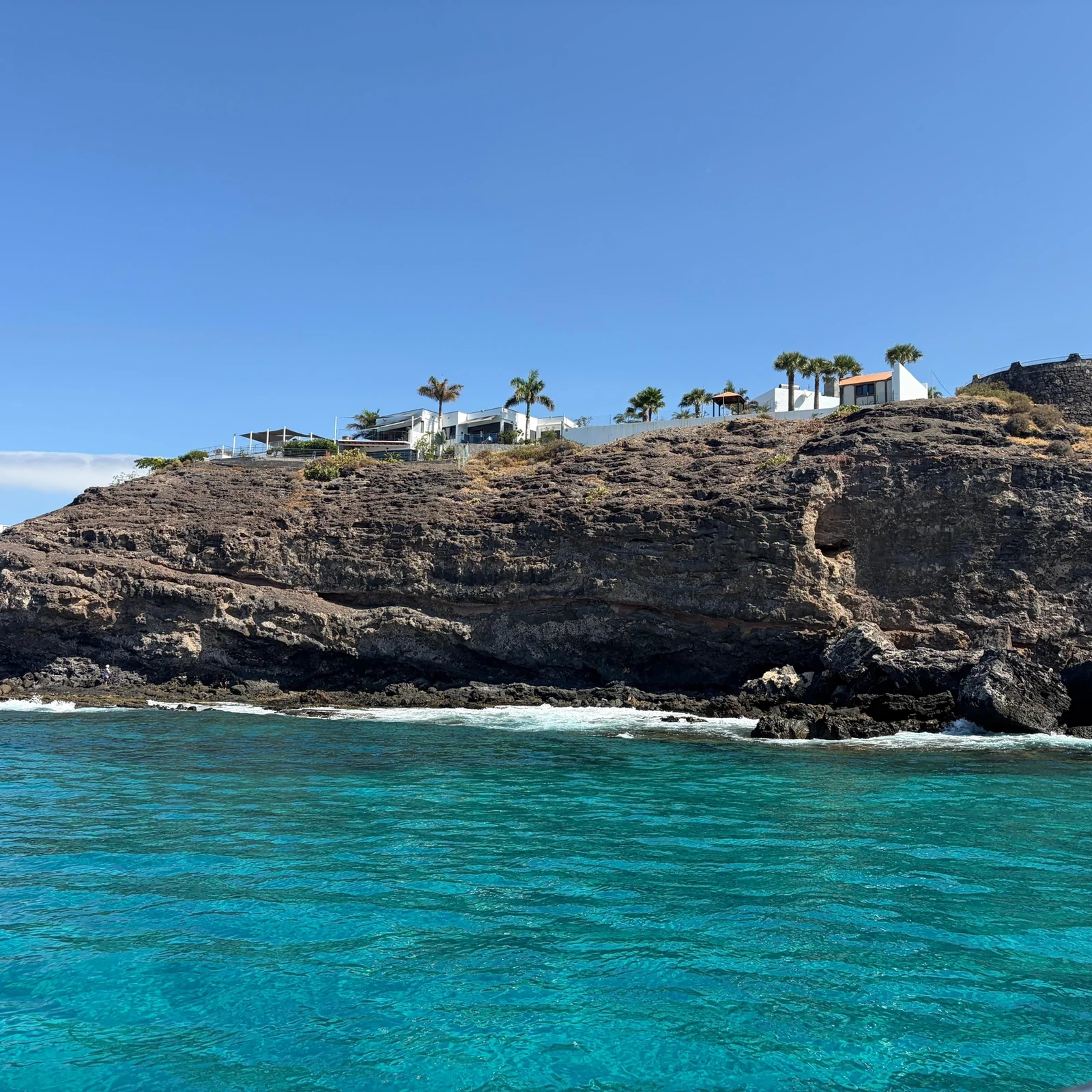 Suche vor Fuerteventura nach Delfinen und Walen