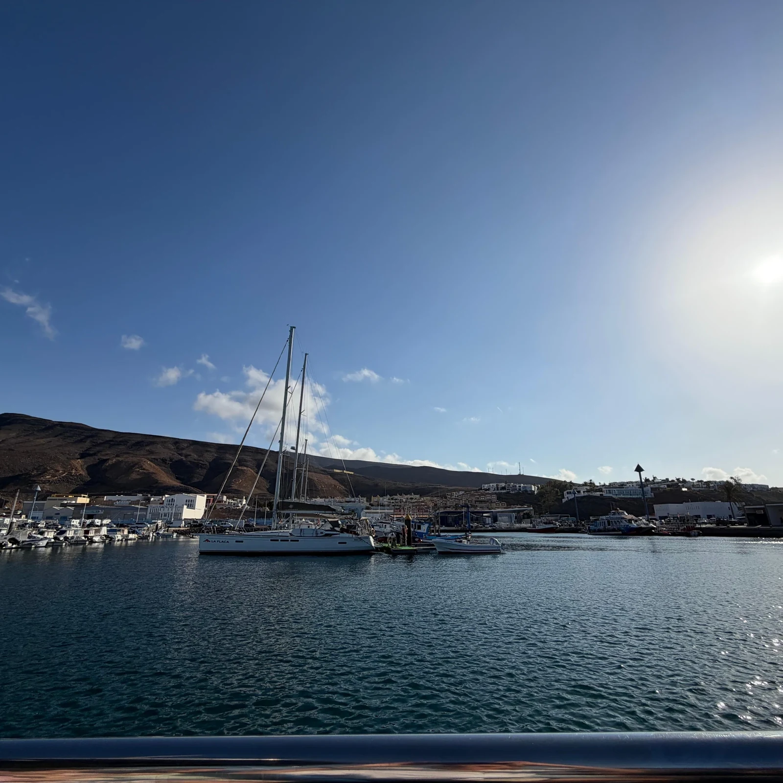 Suche vor Fuerteventura nach Delfinen und Walen