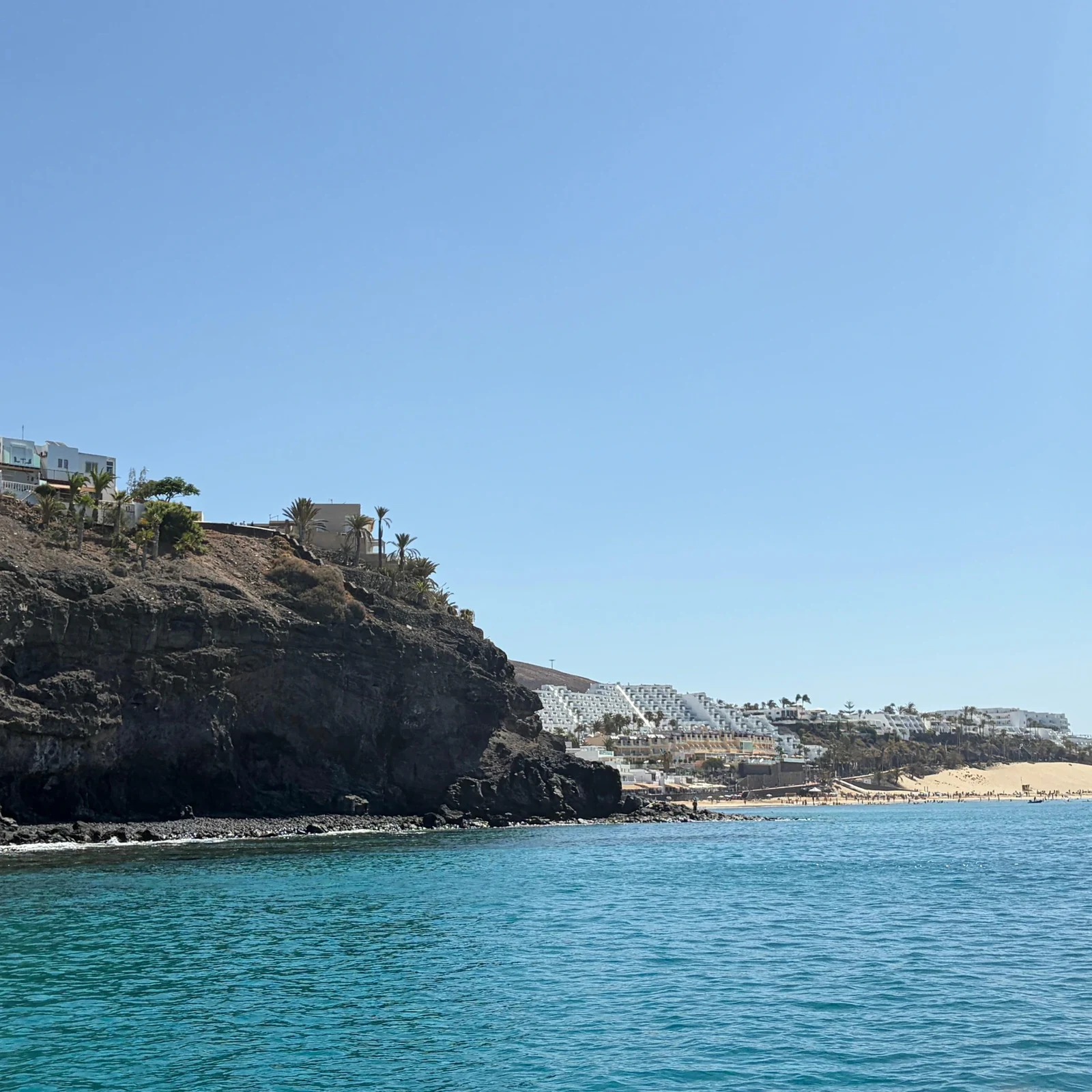 Suche vor Fuerteventura nach Delfinen und Walen