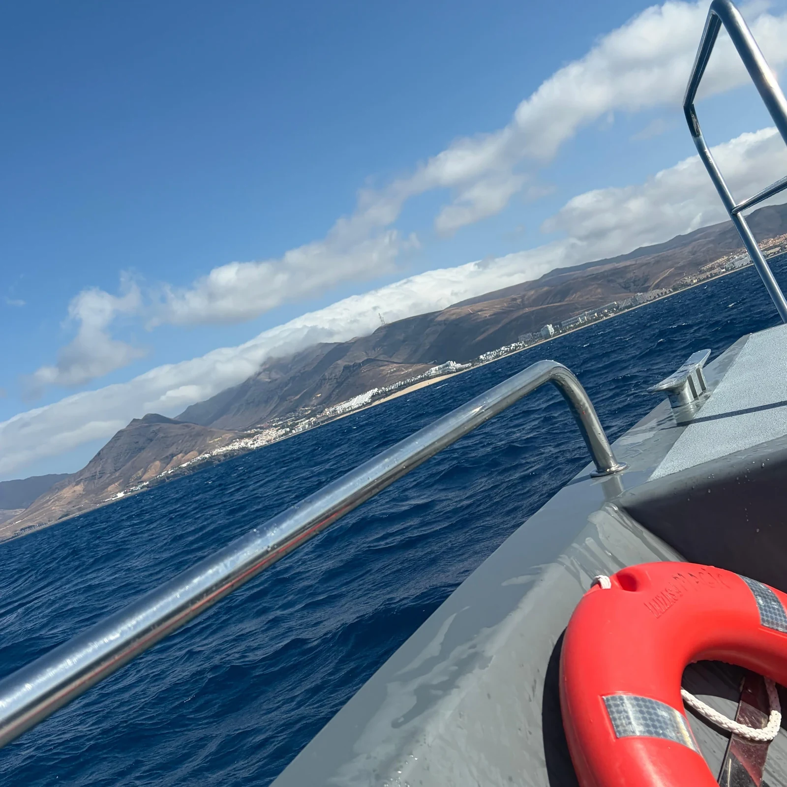 Suche vor Fuerteventura nach Delfinen und Walen