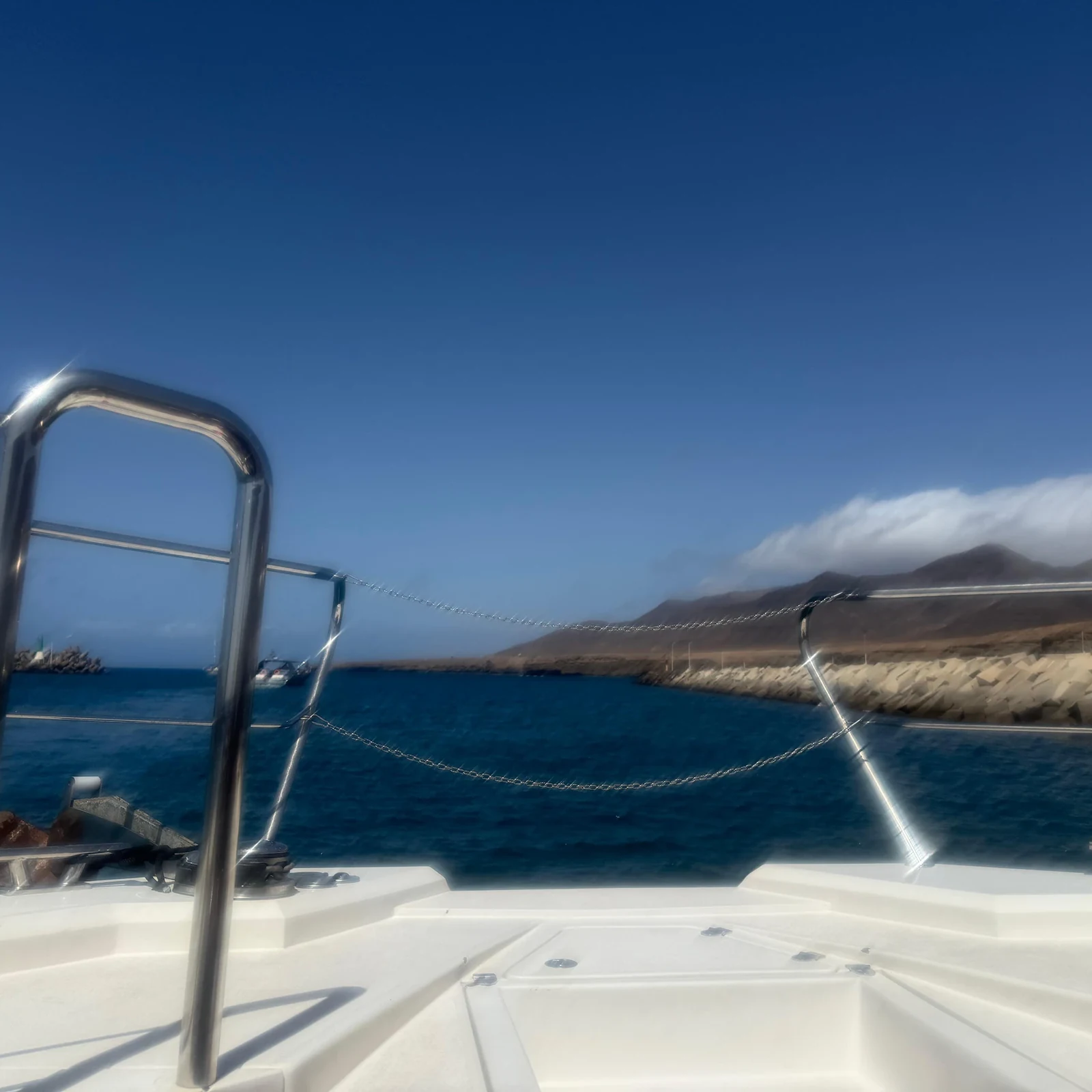 Suche vor Fuerteventura nach Delfinen und Walen