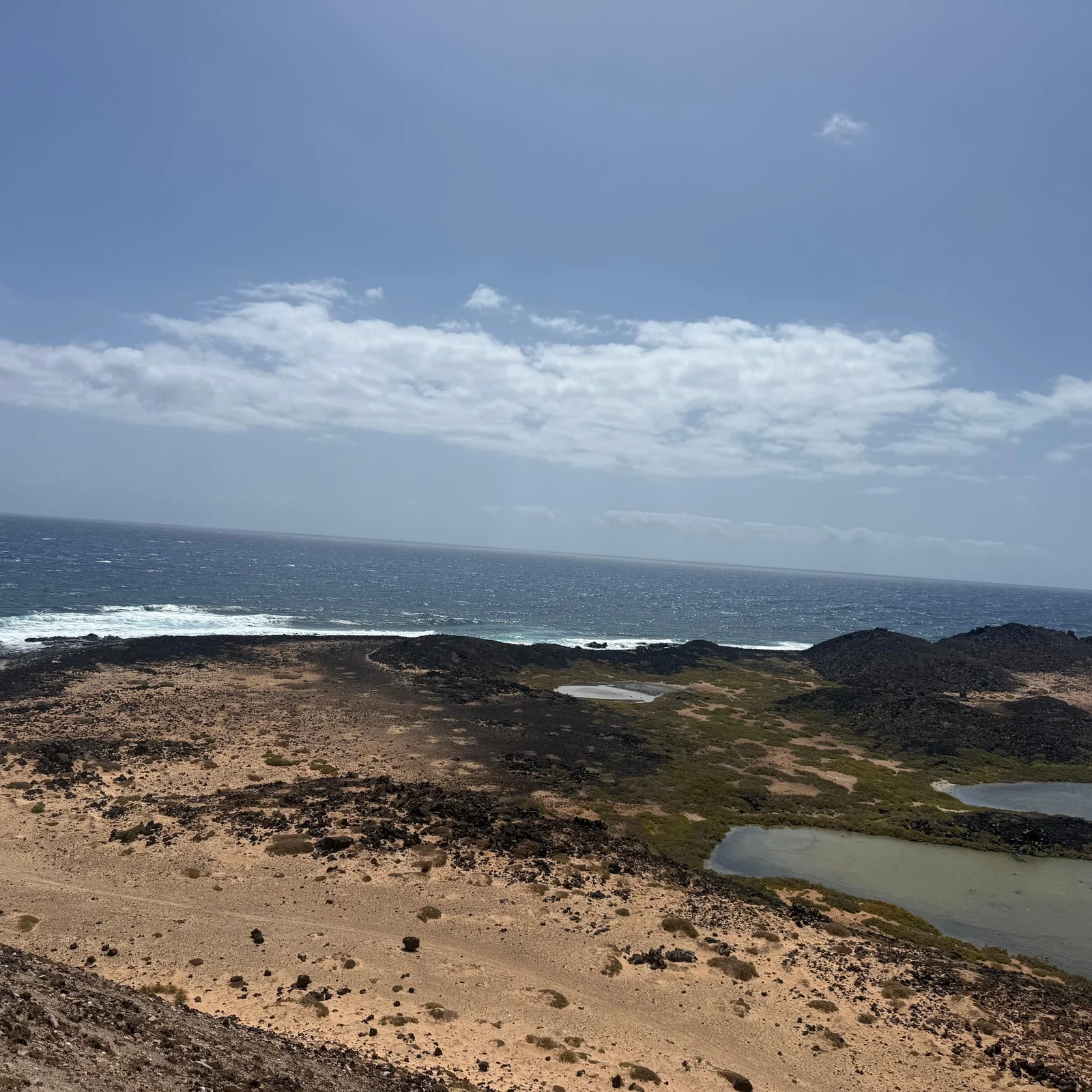 Explore Lobos Island at your own pace from Corralejo