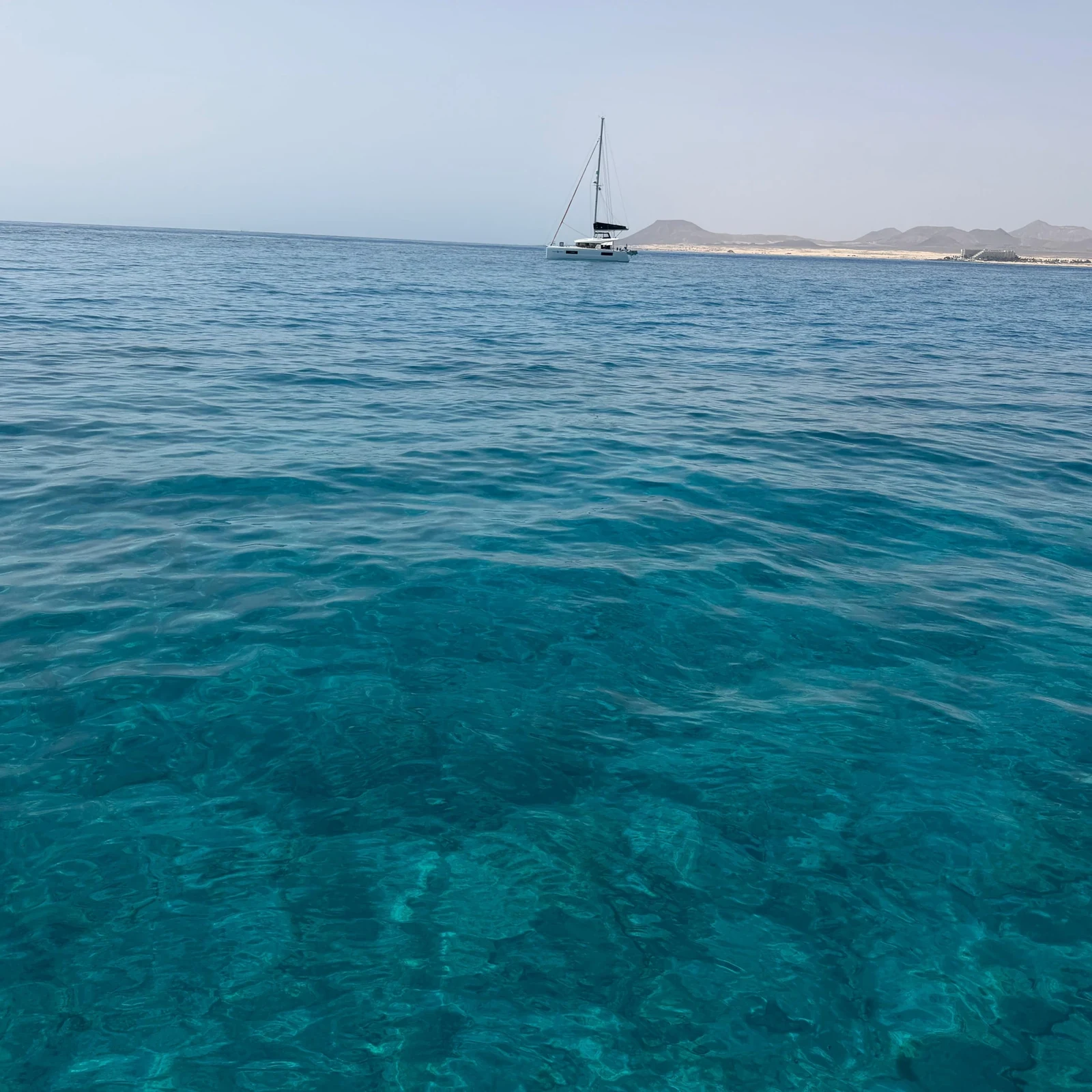 Katamaranausflug ab Corralejo rund um Lobos