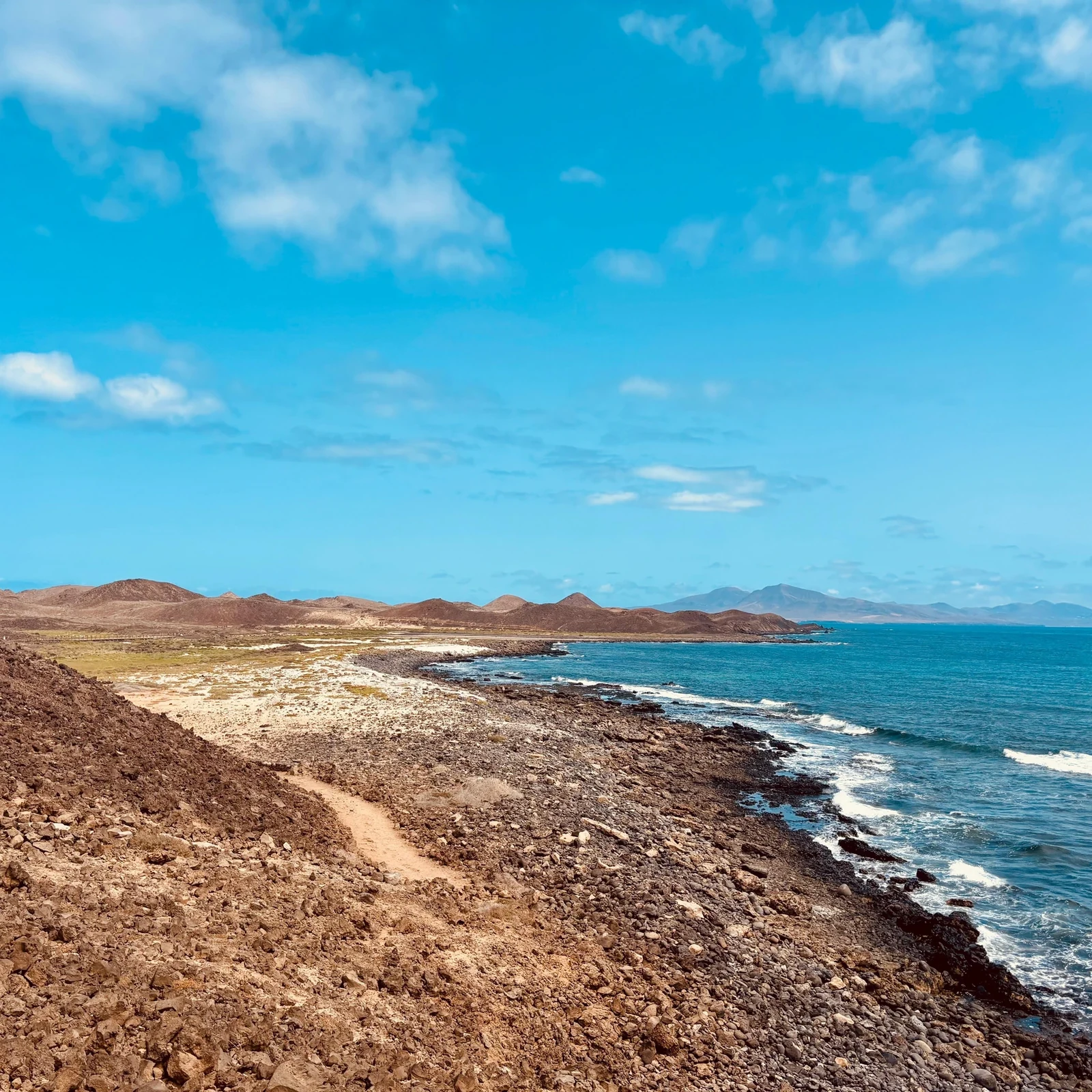 Rejoignez l’île de Lobos en bateau rapide et explorez-la à votre rythme