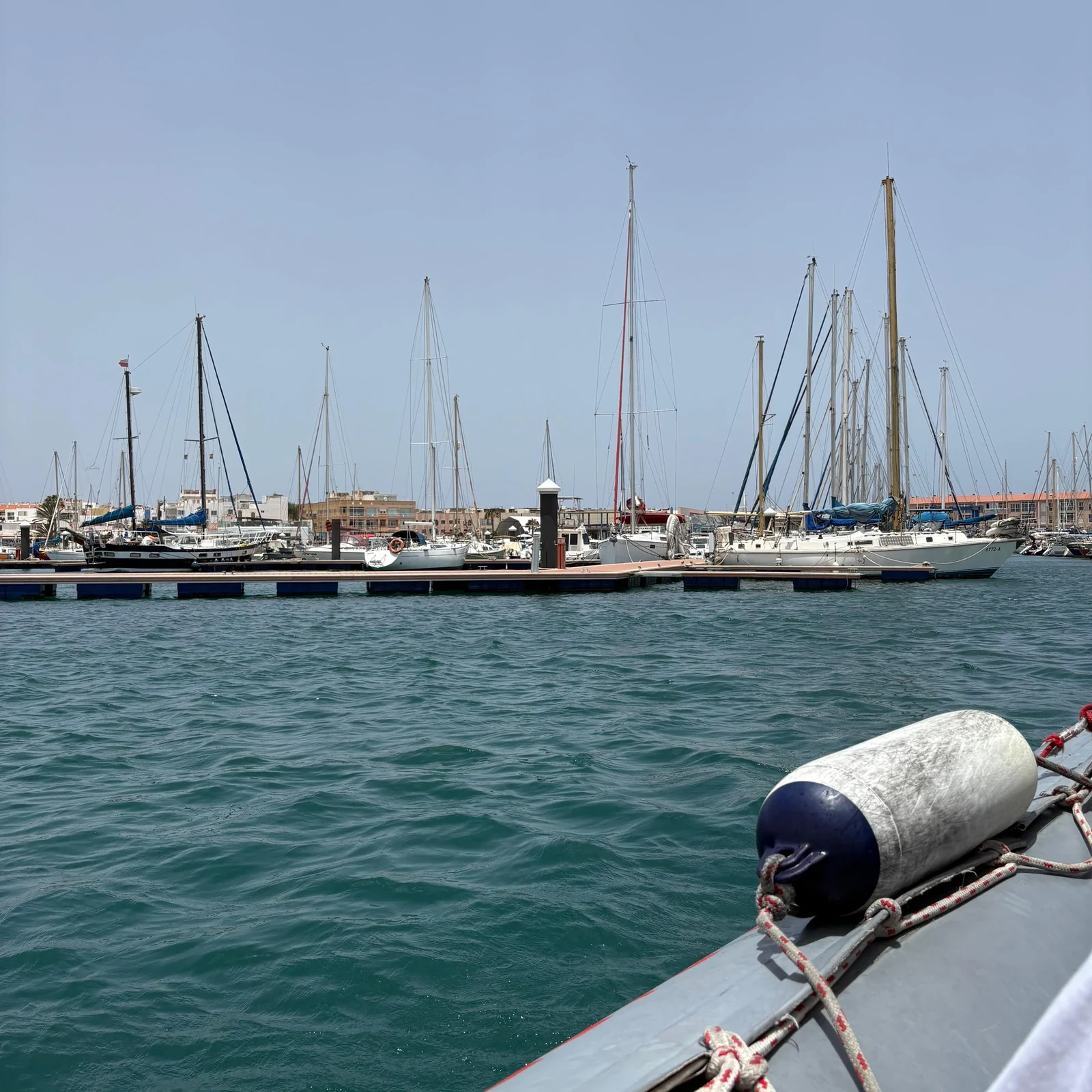Mit dem Schnellboot nach Lobos und die Insel im eigenen Tempo erkunden