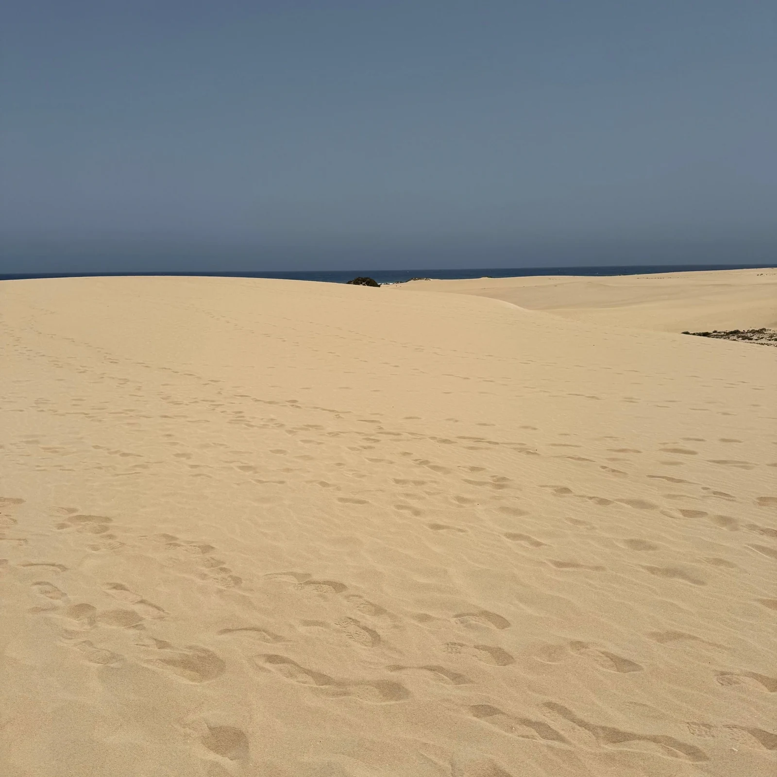 Discover Fuerteventura’s most photogenic landscapes in one day
