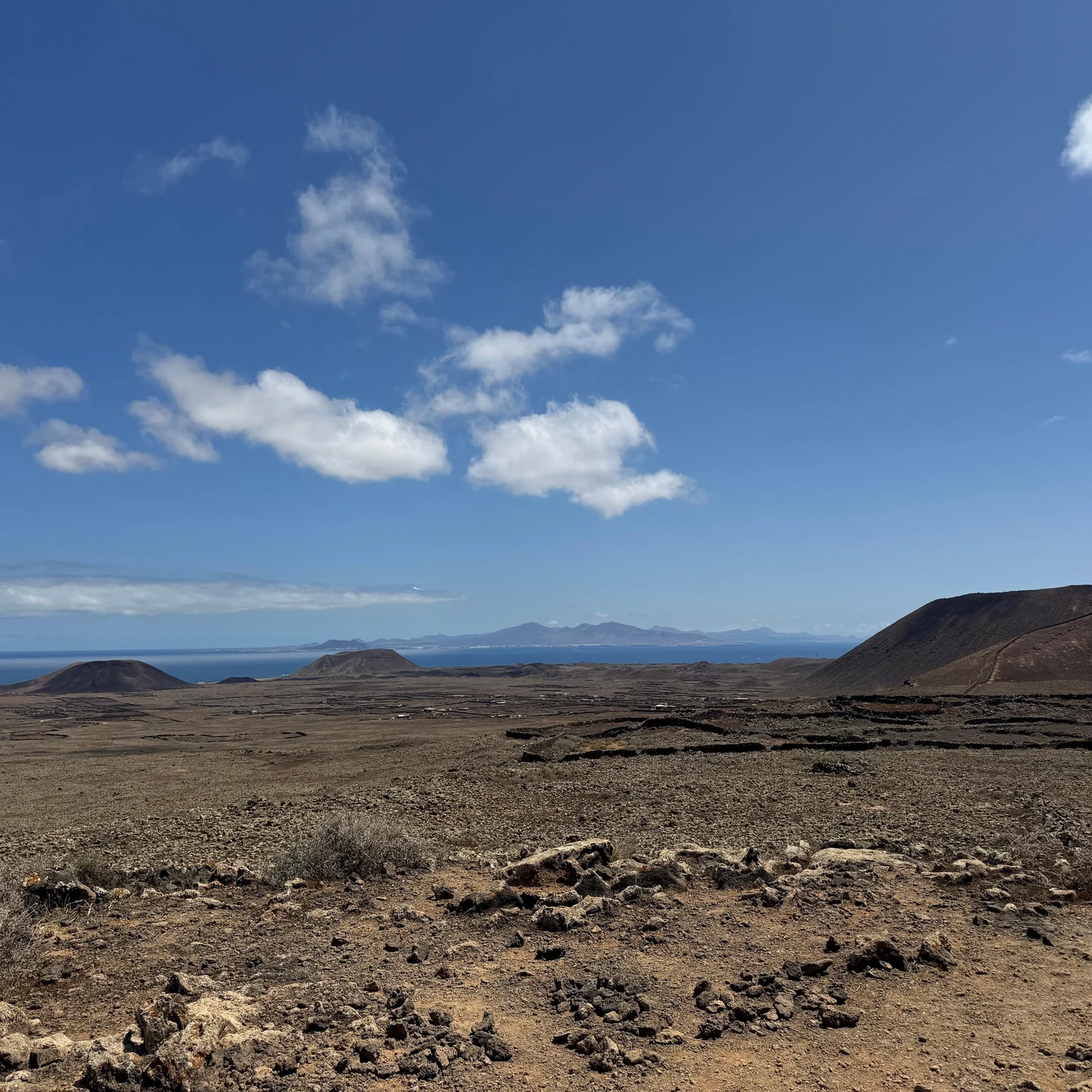 Descubre el norte salvaje de Fuerteventura sin conducir