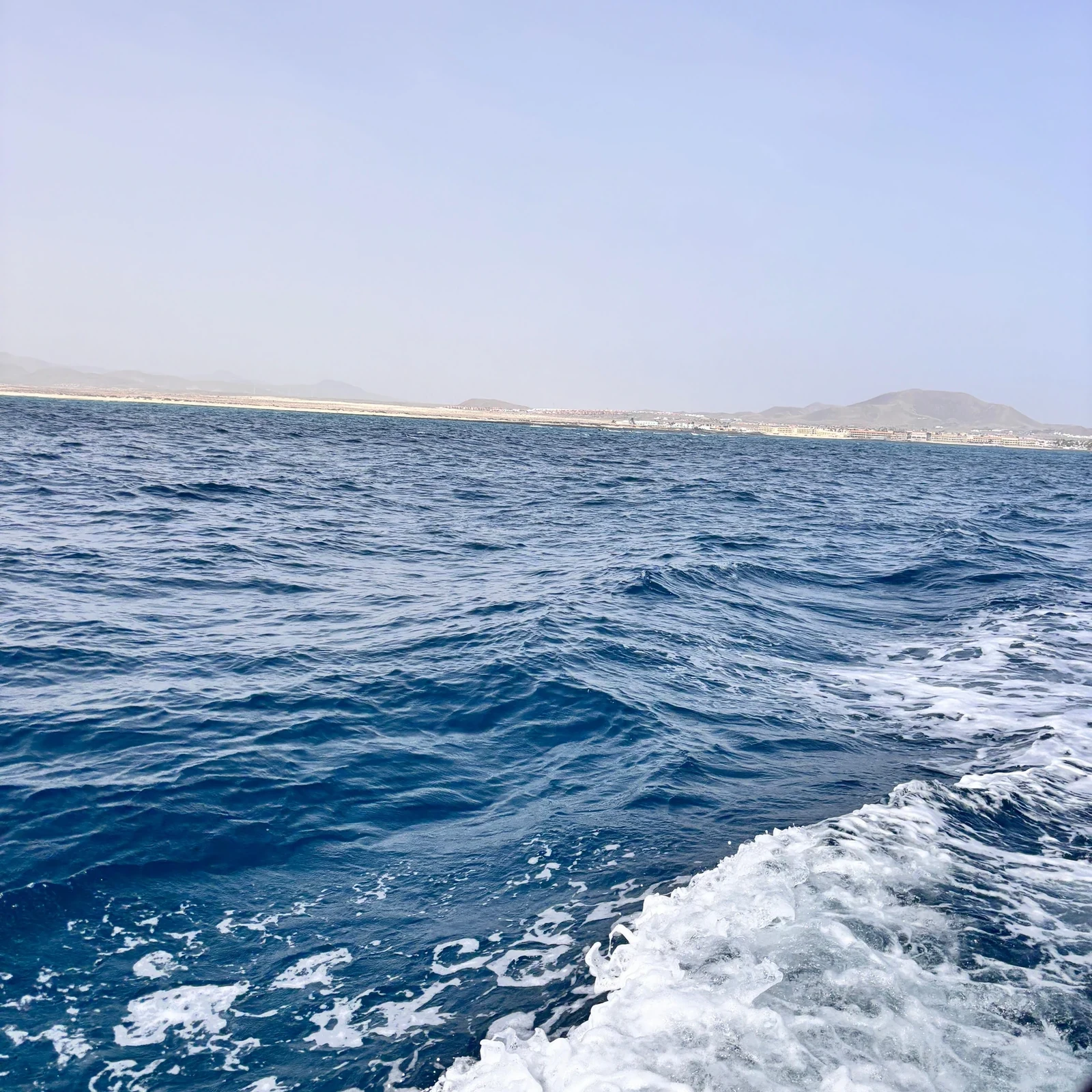 Setze von Corralejo über und erkunde die Insel Lobos auf eigene Faust