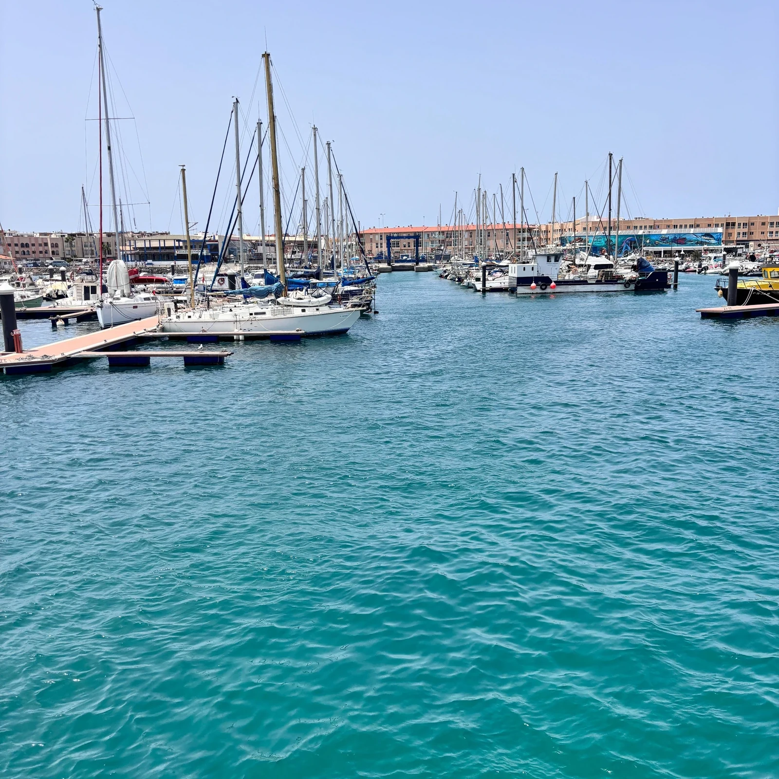 Setze von Corralejo über und erkunde die Insel Lobos auf eigene Faust