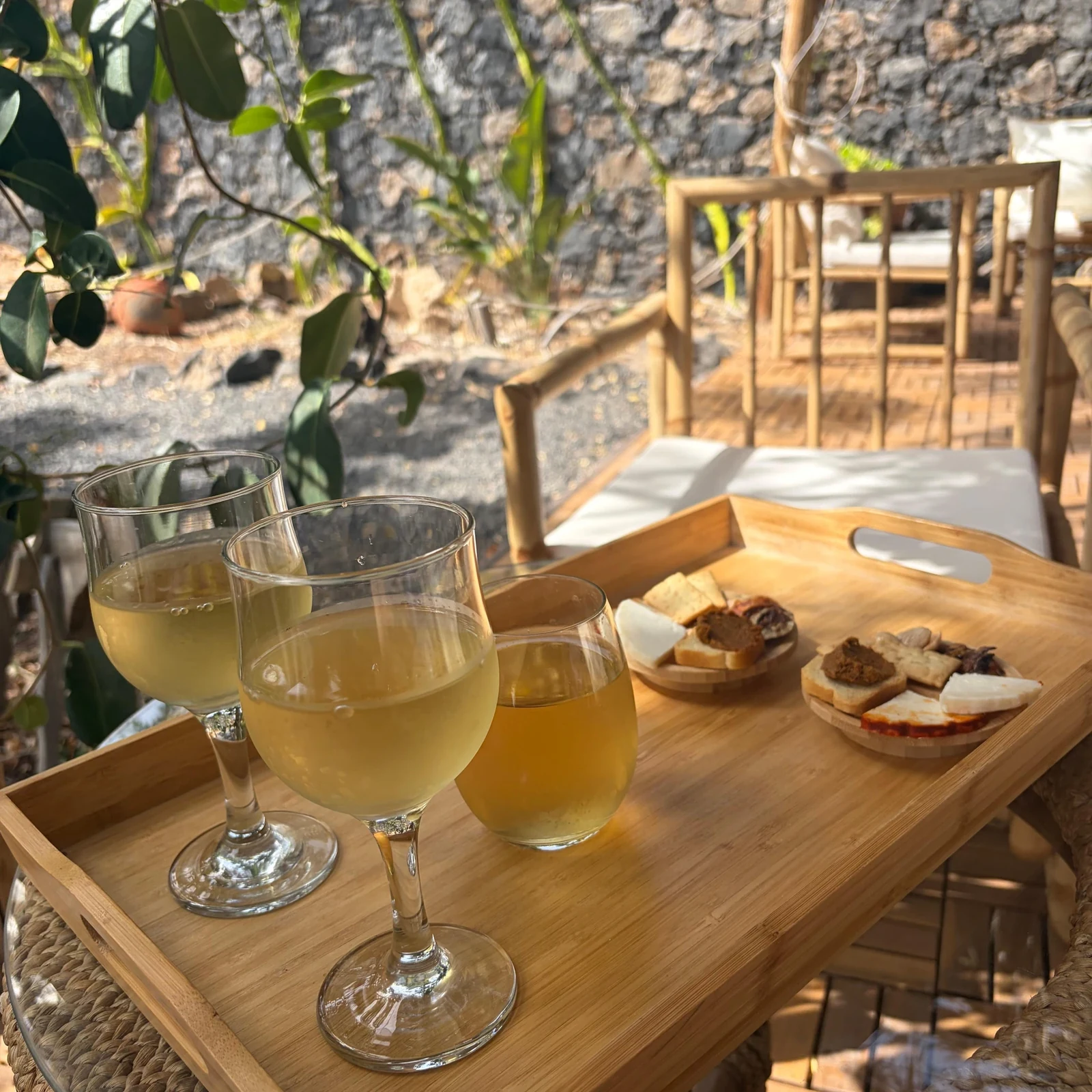 Aloe vera, ökologische Landwirtschaft und lokale Aromen auf Fuerteventura