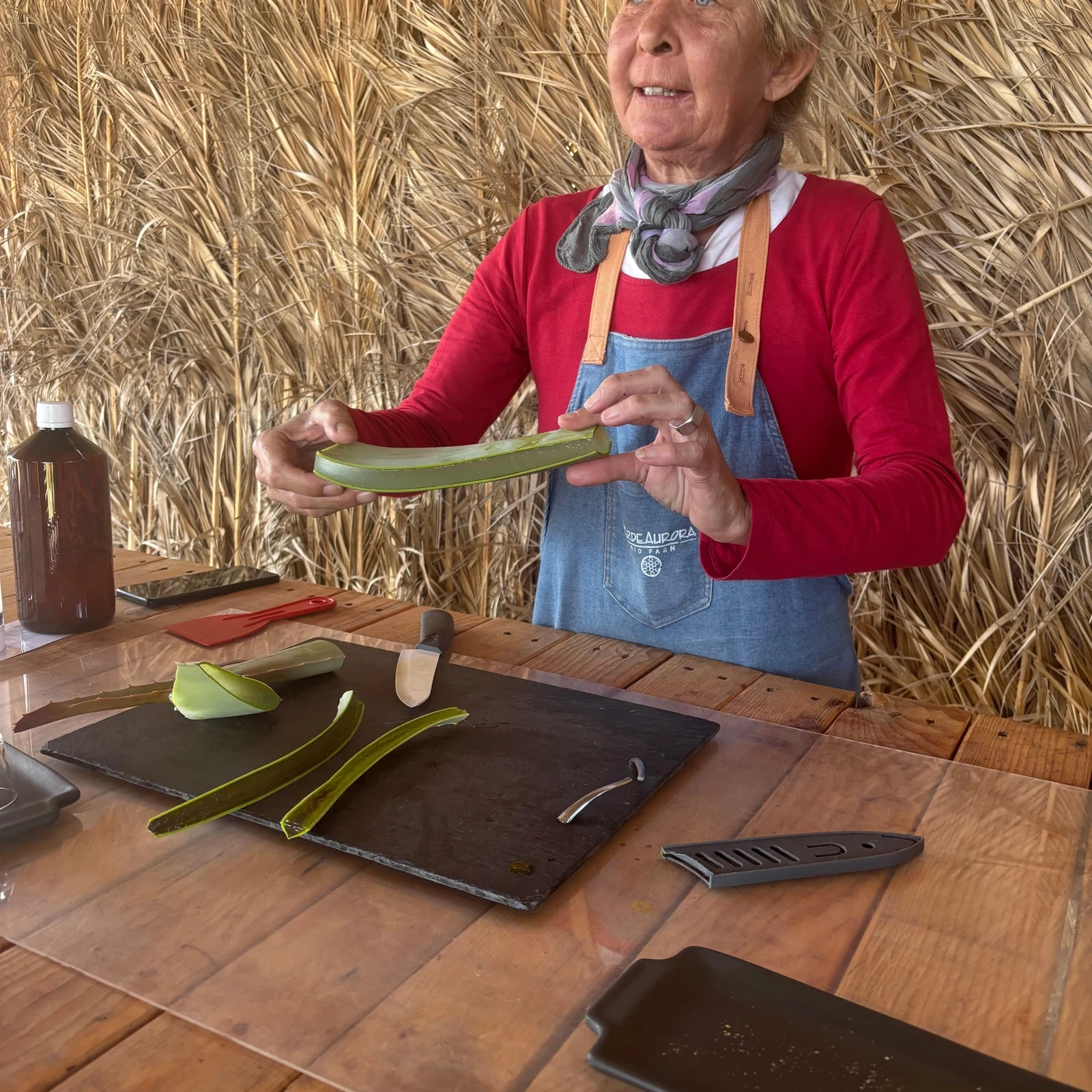 Aloe vera, agricultura ecológica y sabores locales en Fuerteventura