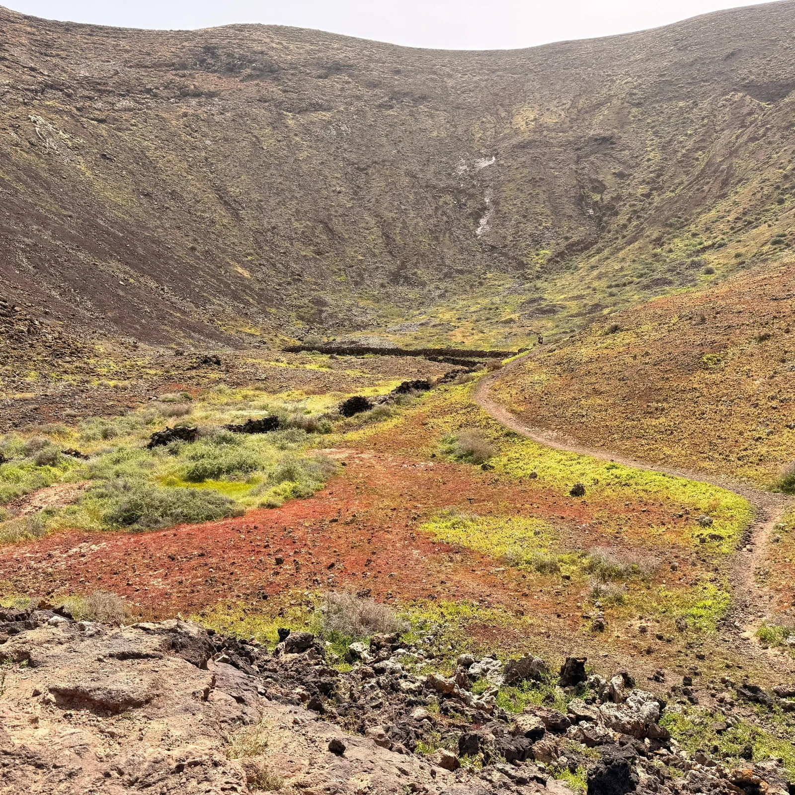 Dunas, volcanes y costa en el norte de Fuerteventura