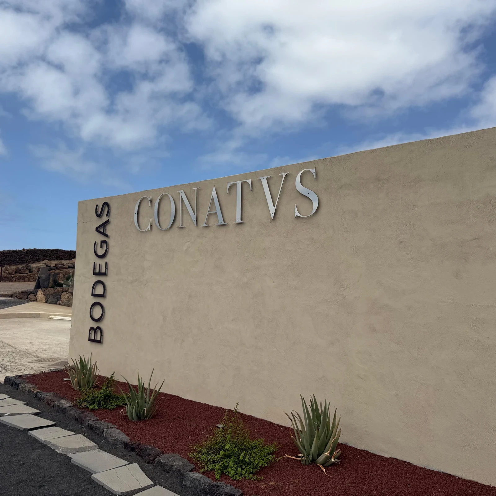 Découvrez le vin volcanique de Fuerteventura à la Bodega Conatvs