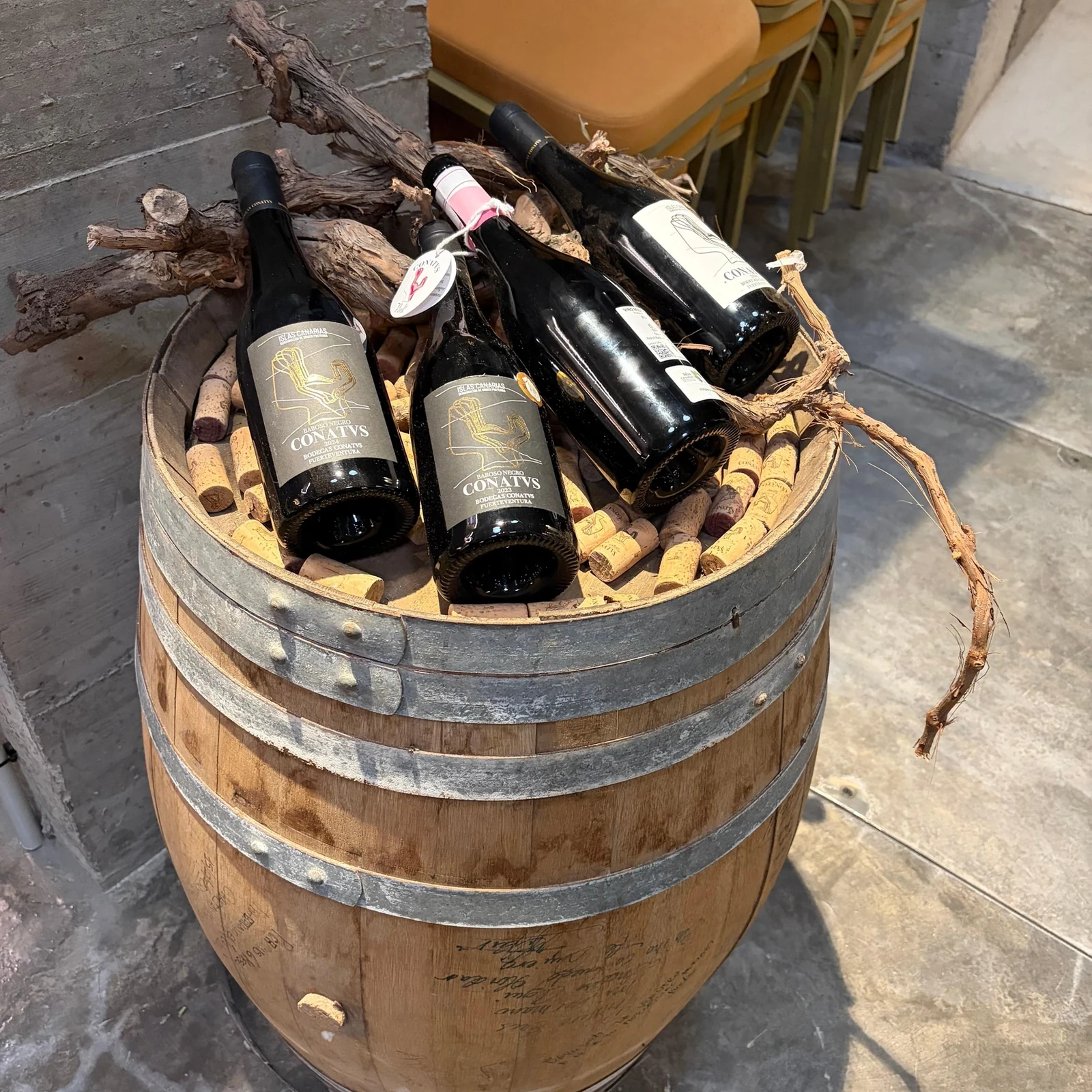 Découvrez le vin volcanique de Fuerteventura à la Bodega Conatvs