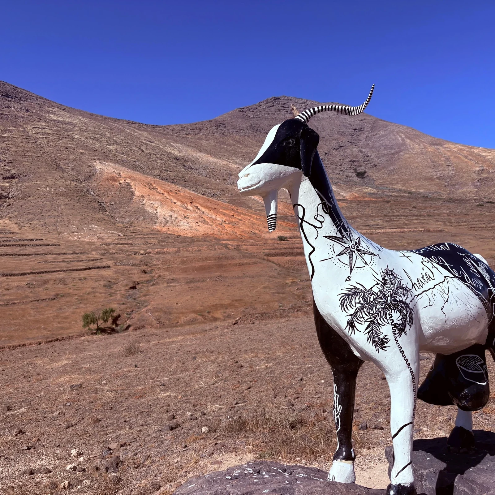 Descubre los grandes contrastes de Fuerteventura en un solo recorrido