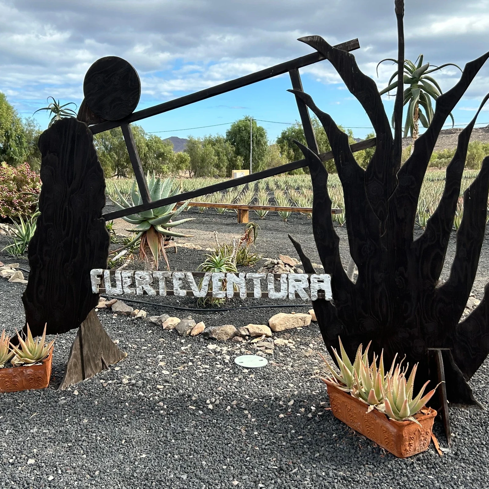 Descubre los grandes contrastes de Fuerteventura en un solo recorrido