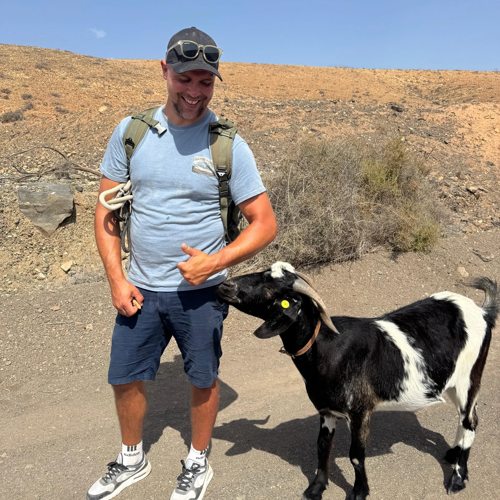 Marchez avec cinq chèvres dans la campagne de Fuerteventura