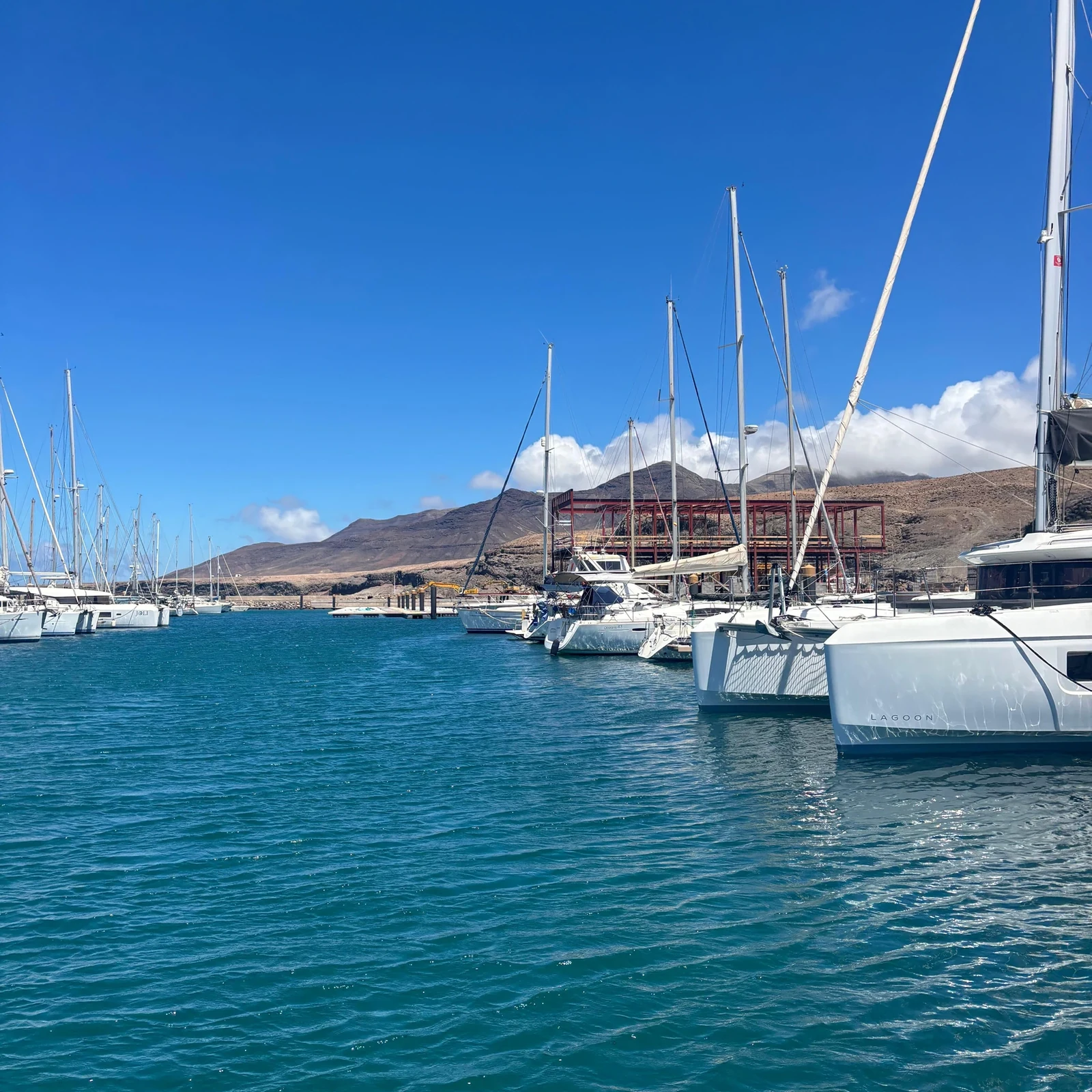 Dauphins, baleines et snorkeling depuis Morro Jable