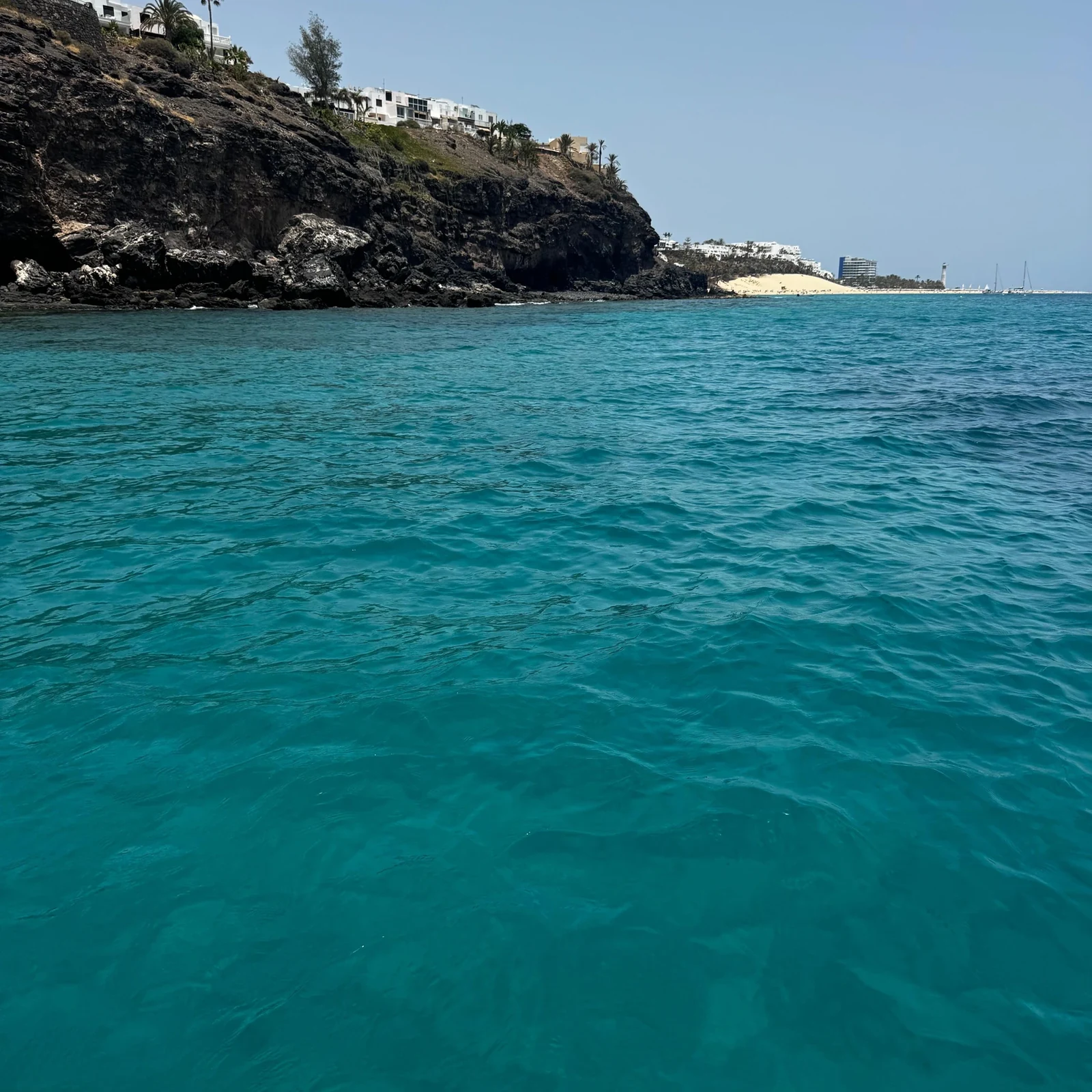 Dauphins, baleines et snorkeling depuis Morro Jable