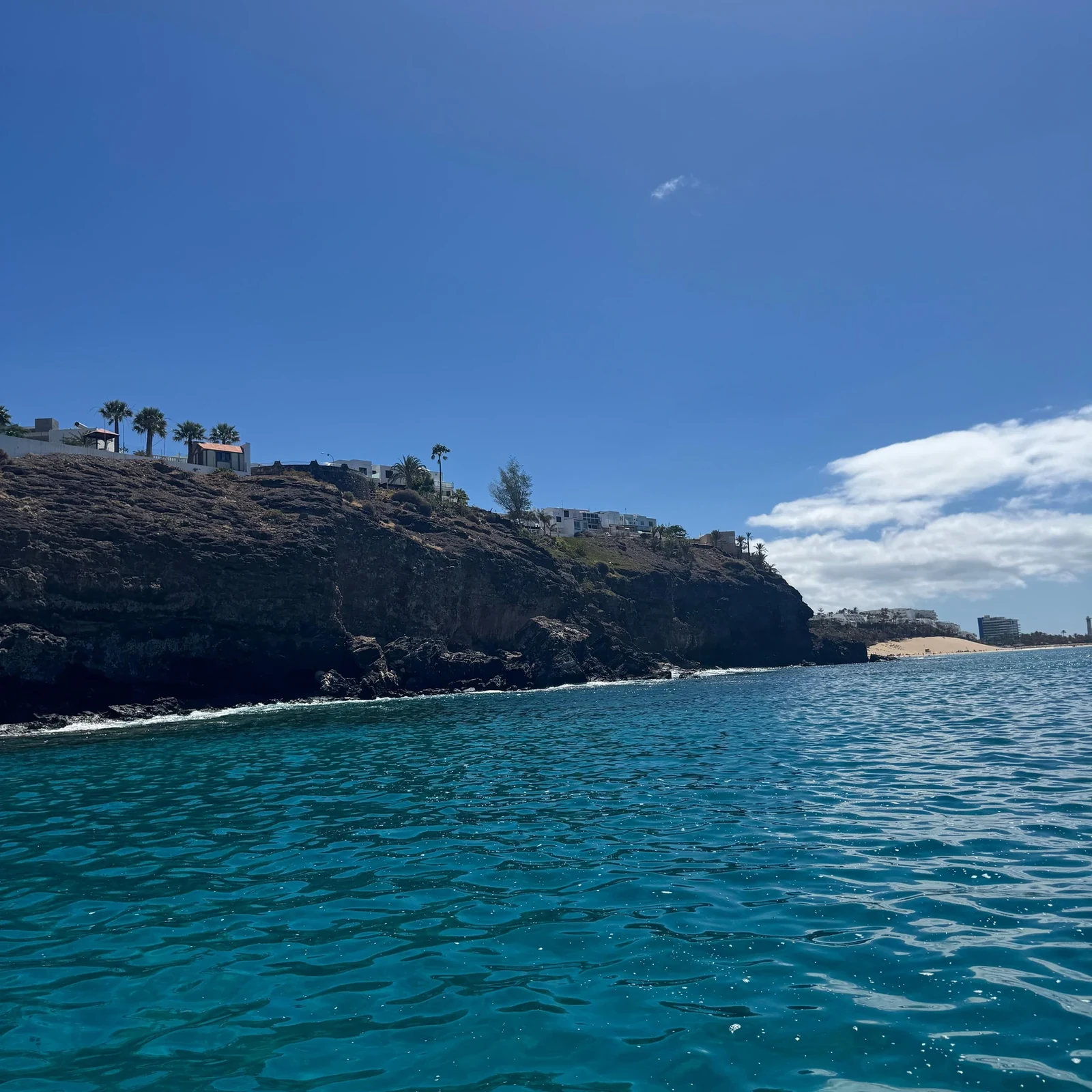 Dauphins, baleines et snorkeling depuis Morro Jable