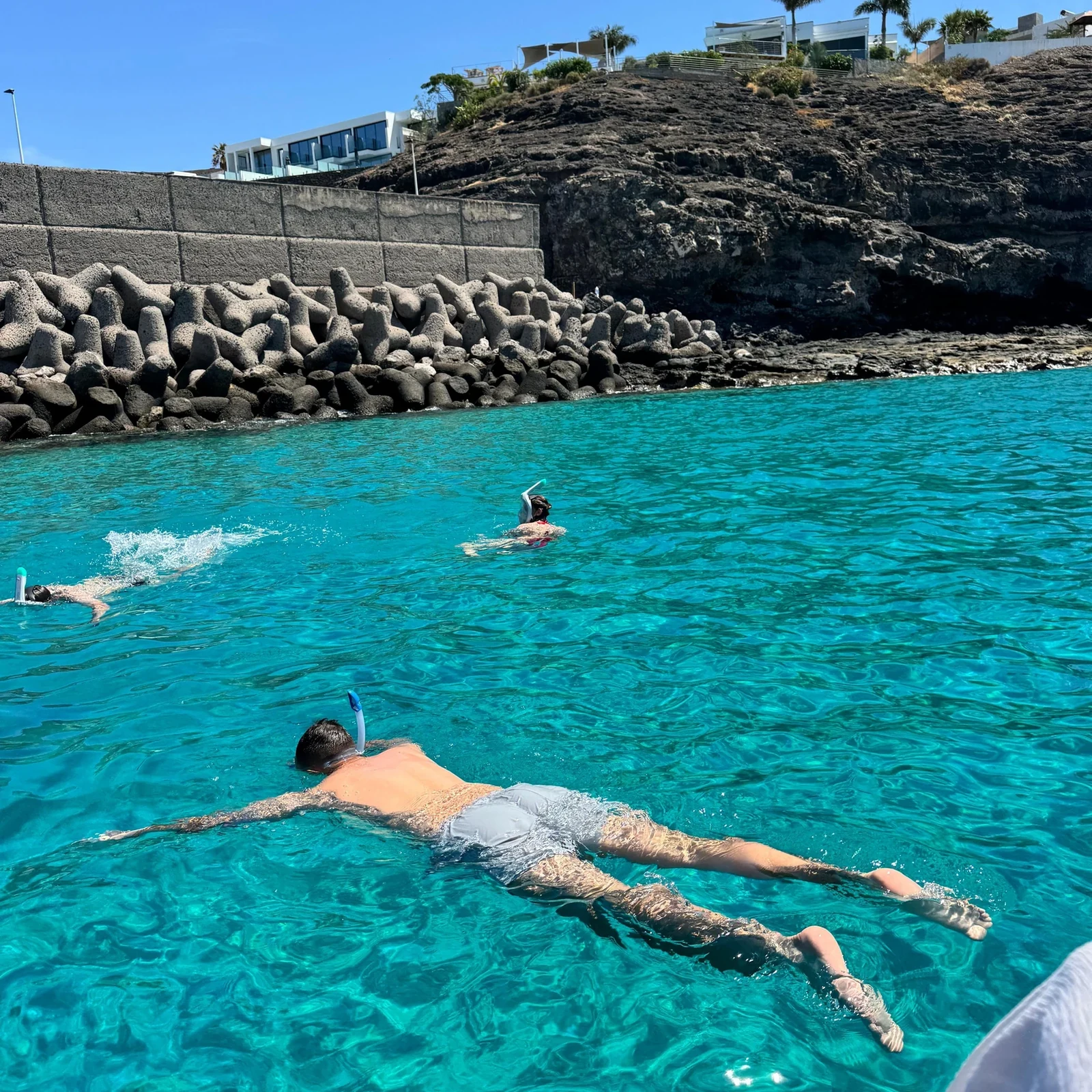 Dauphins, baleines et snorkeling depuis Morro Jable