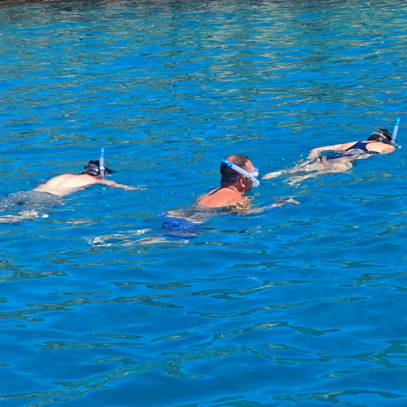 Dauphins, baleines et snorkeling depuis Morro Jable