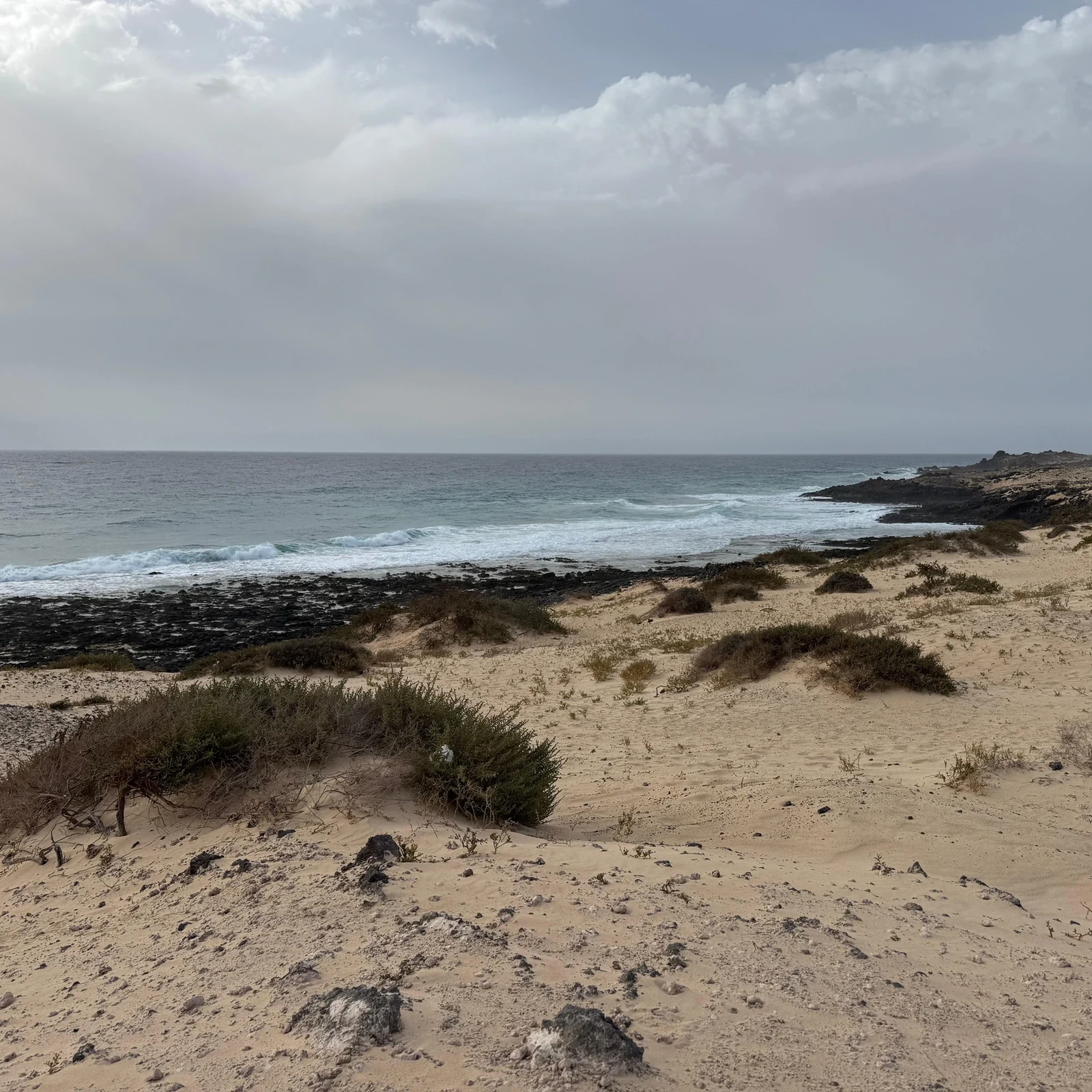 See Fuerteventura’s contrasts in a single day