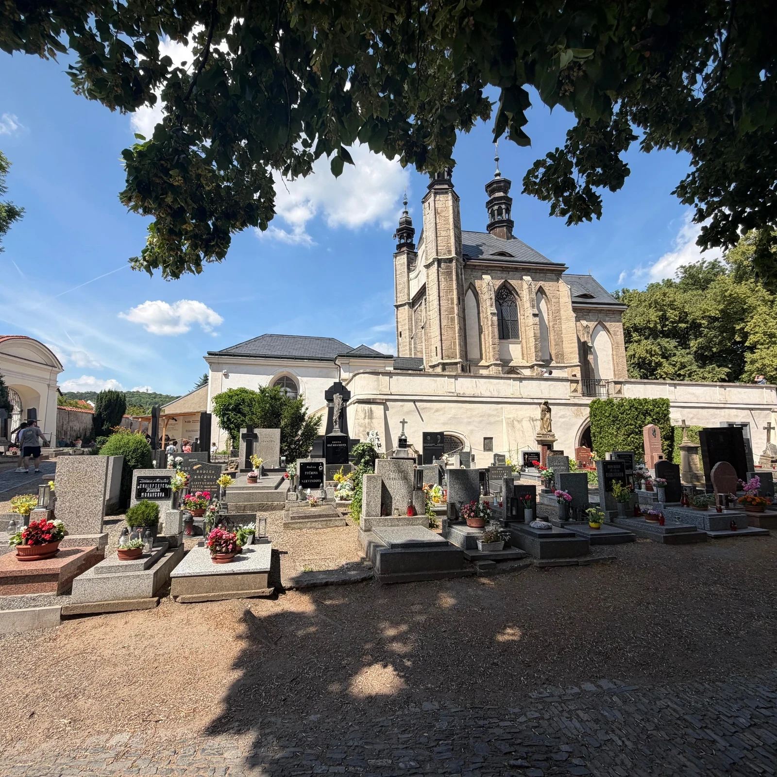 Kutná Hora from Prague with transport, guide and admission