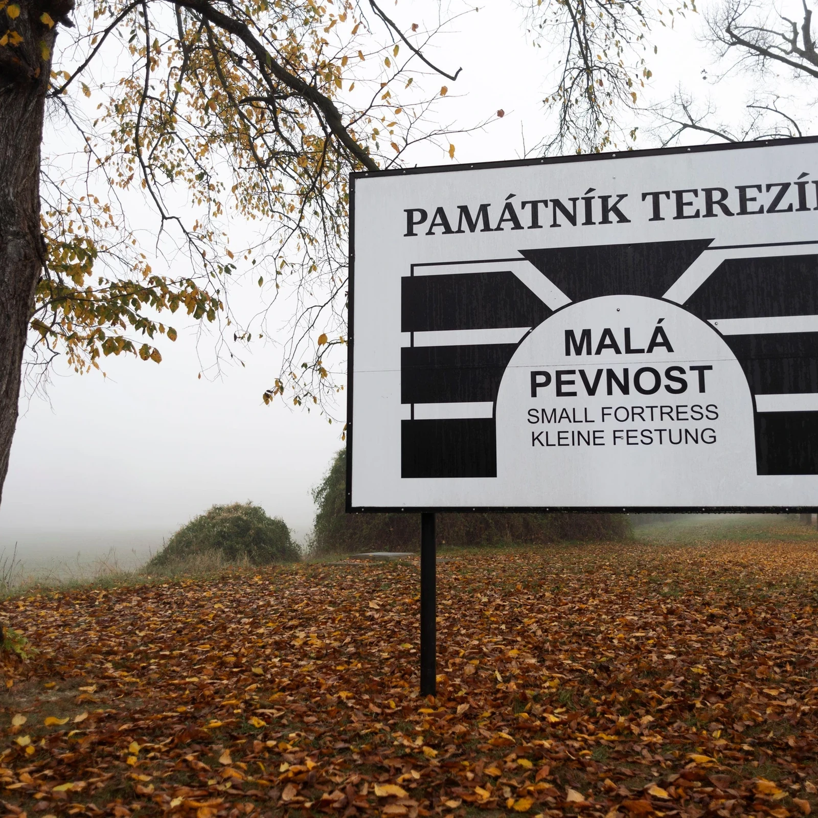 Terezin from Prague: history and remembrance on a guided tour