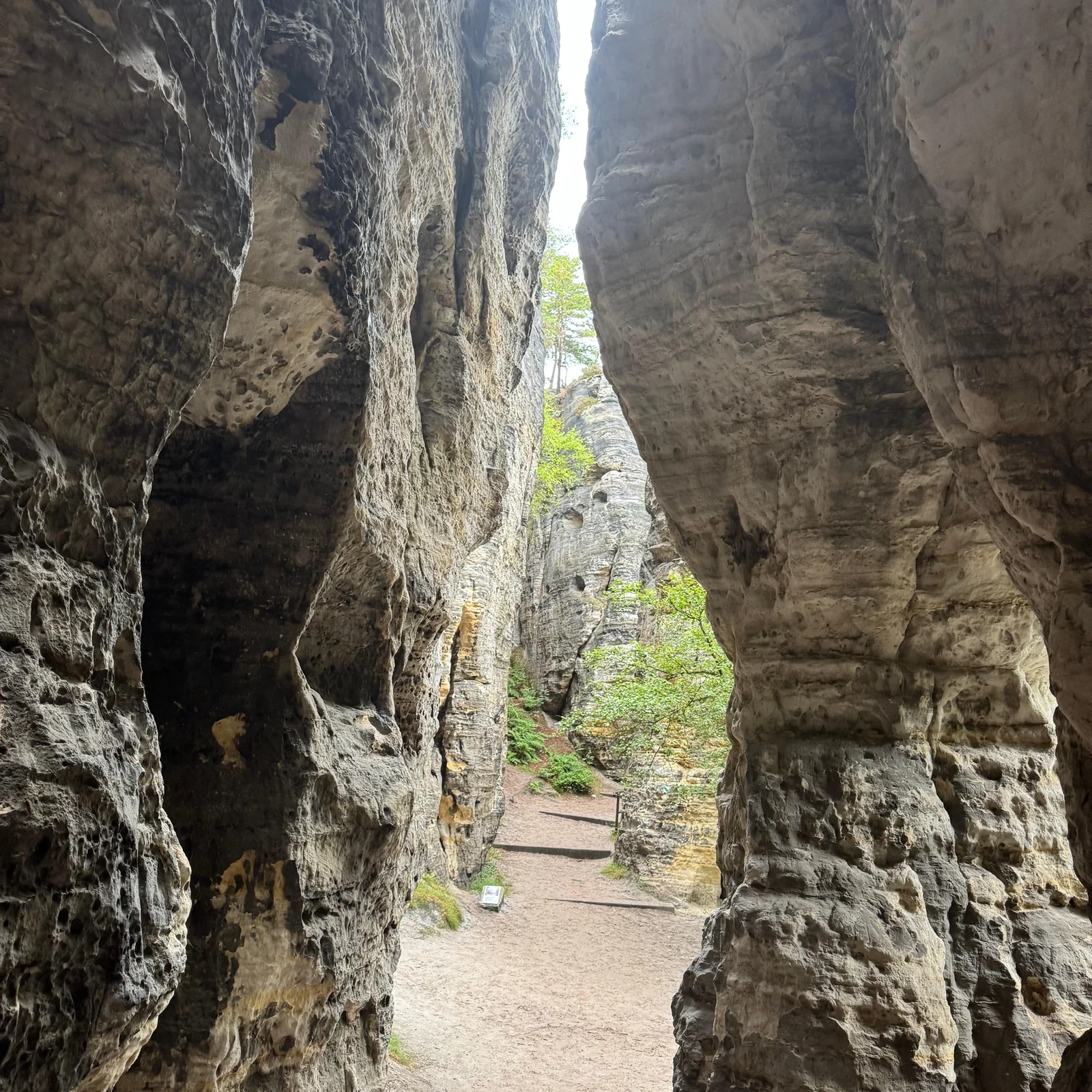 Entdecke die Böhmische und Sächsische Schweiz ab Prag