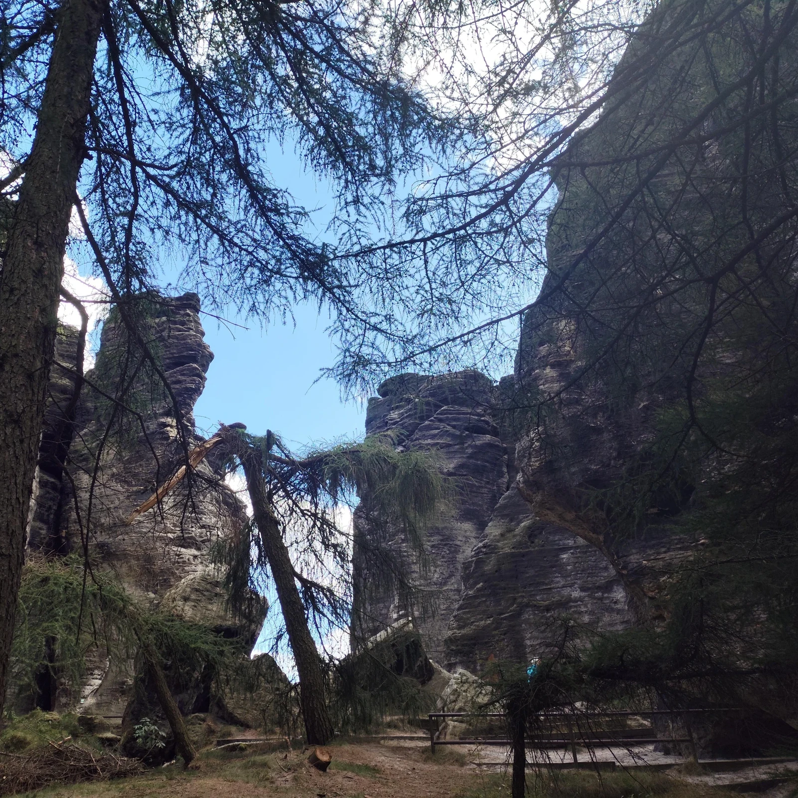 Entdecke die Böhmische und Sächsische Schweiz ab Prag