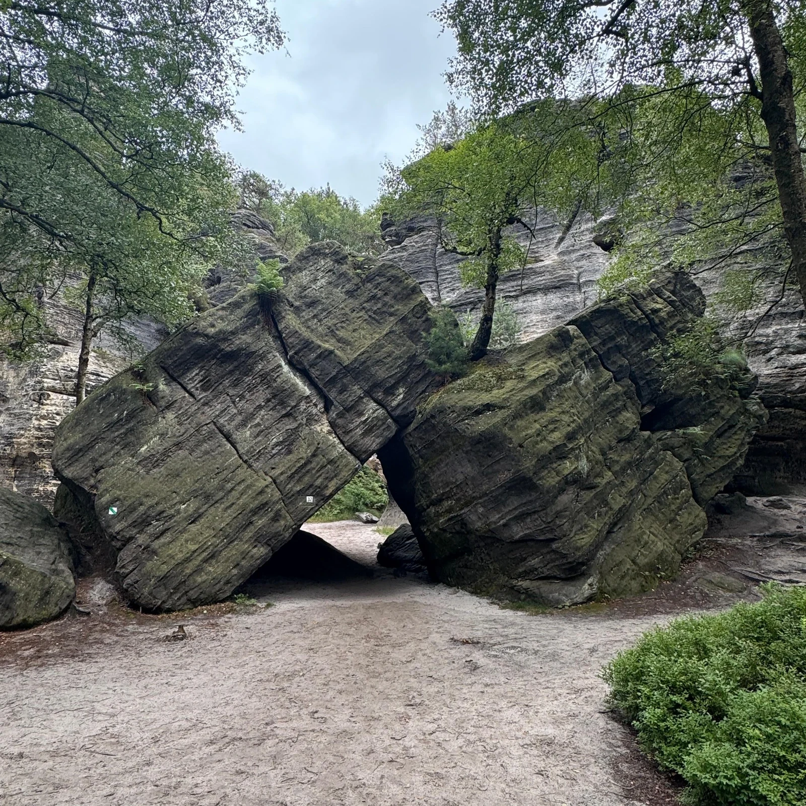 Entdecke die Böhmische und Sächsische Schweiz ab Prag