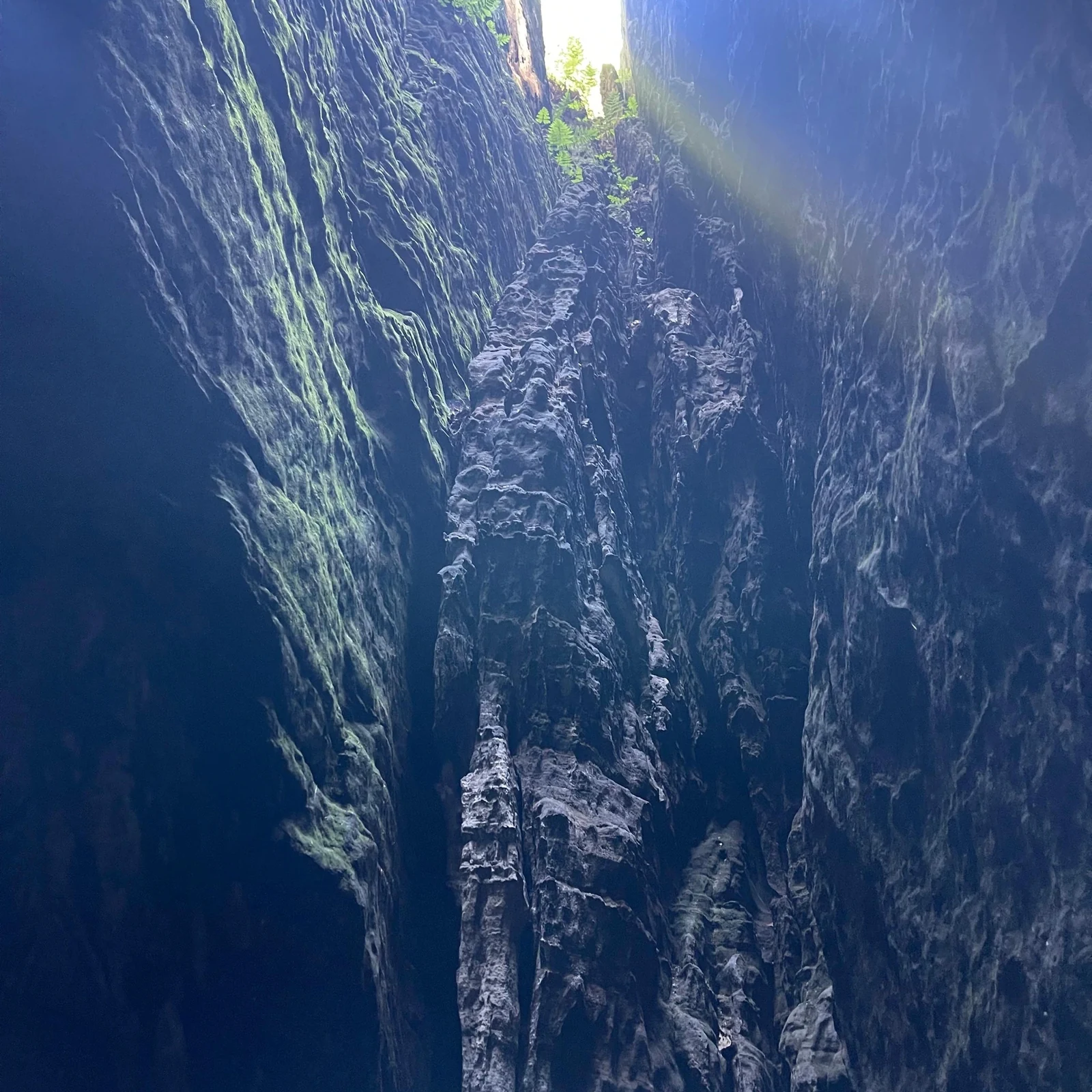 Entdecke die Böhmische und Sächsische Schweiz ab Prag