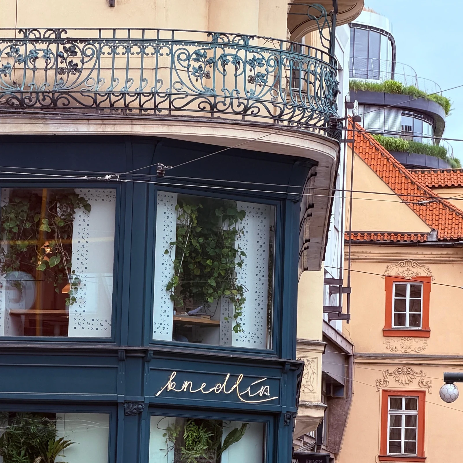 Goûtez Prague entre adresses locales, récits et spécialités tchèques