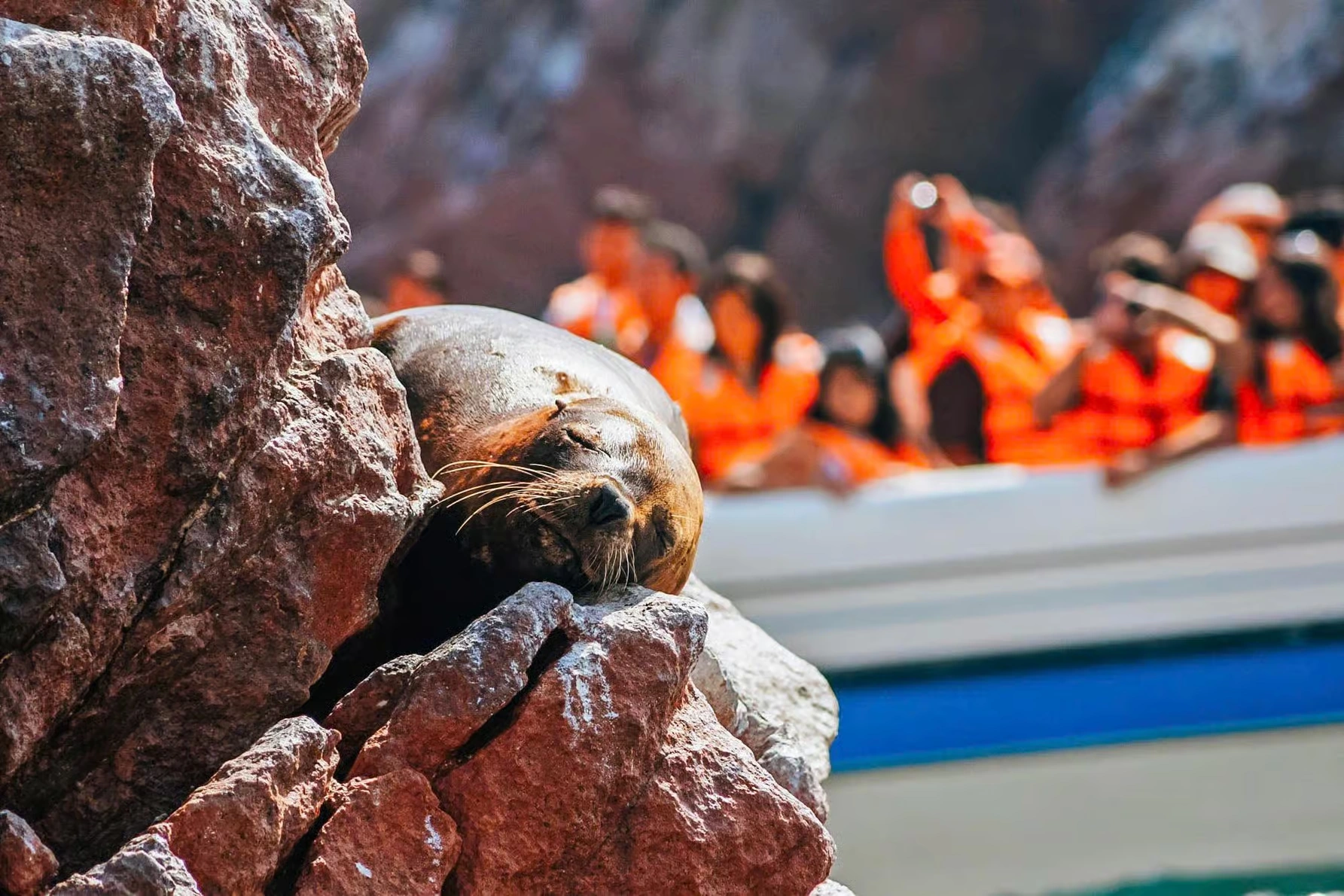 Excursion Paracas et Huacachina depuis Lima avec îles Ballestas