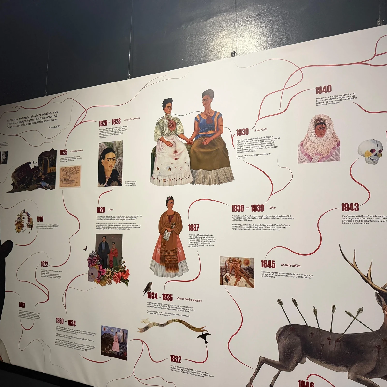 Immersive Van Gogh in Budapest: art, animation and narration
