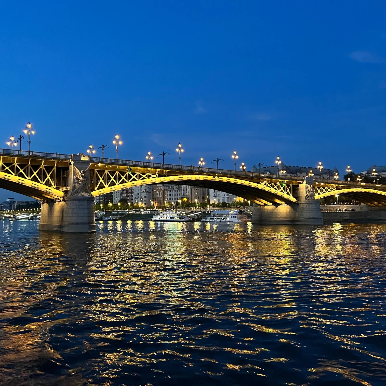Erlebe Budapest bei einer einstündigen Fahrt auf der Donau