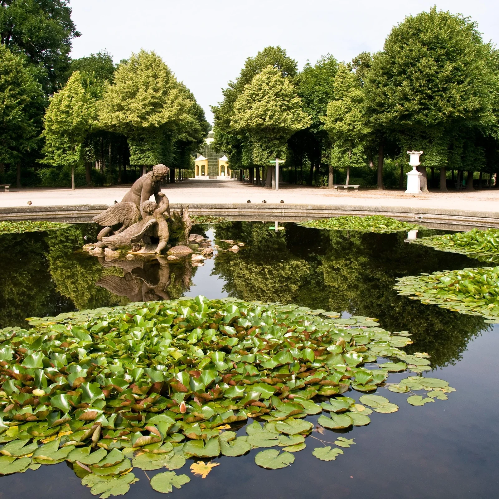 Choose how you want to discover Schönbrunn