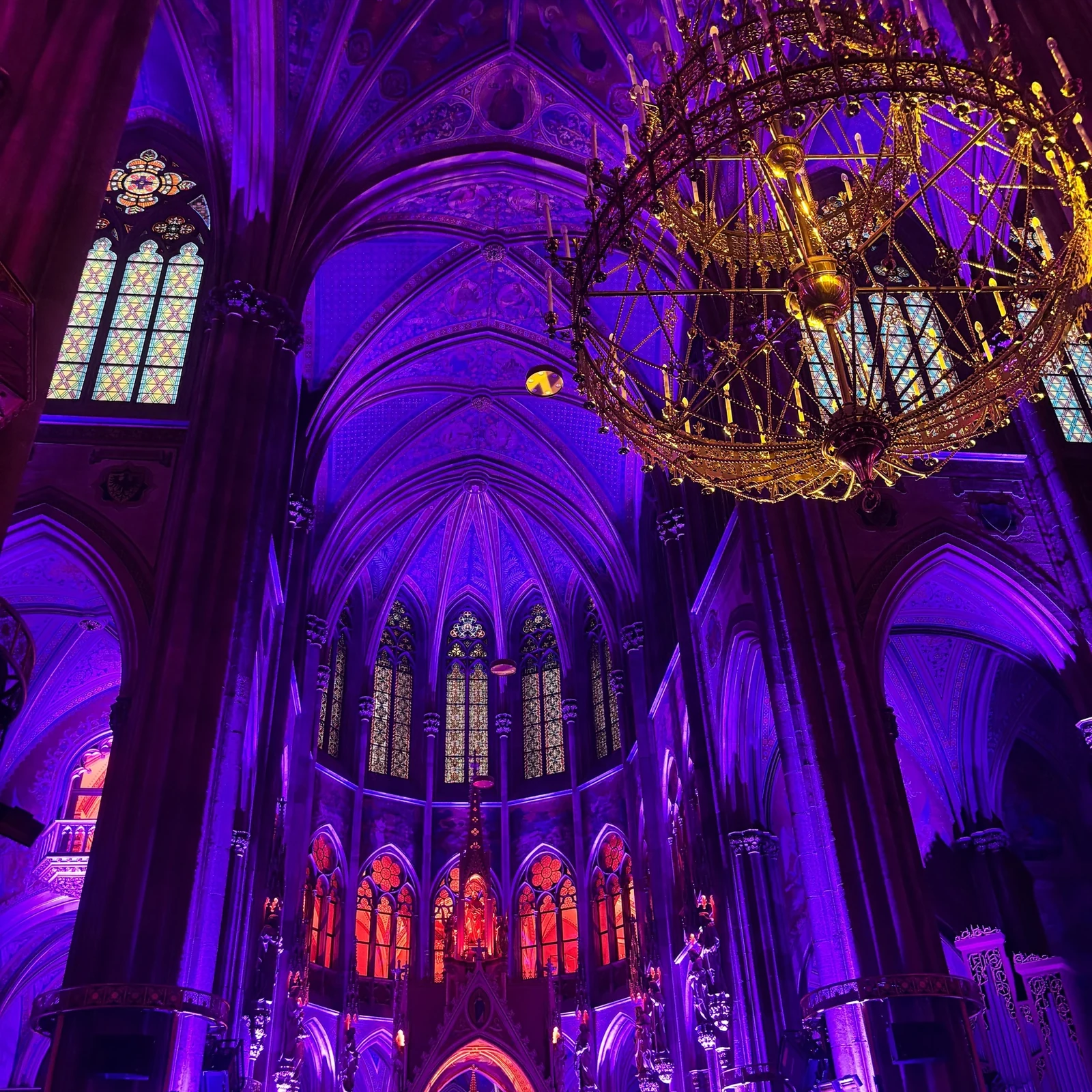 Light of Creation : lumière et musique dans la Votivkirche