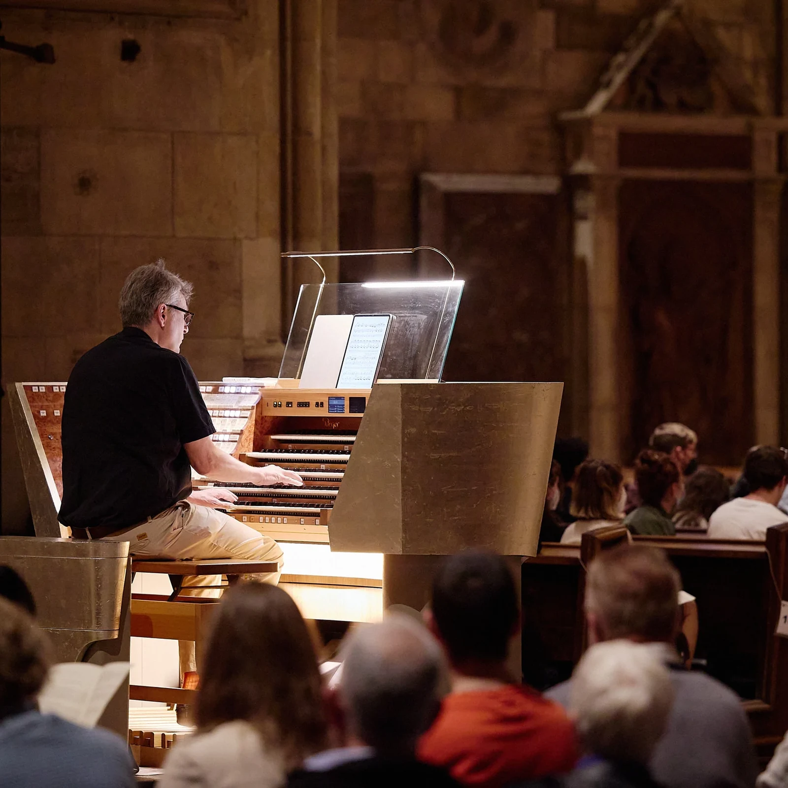 Música y arquitectura en el corazón del Stephansdom
