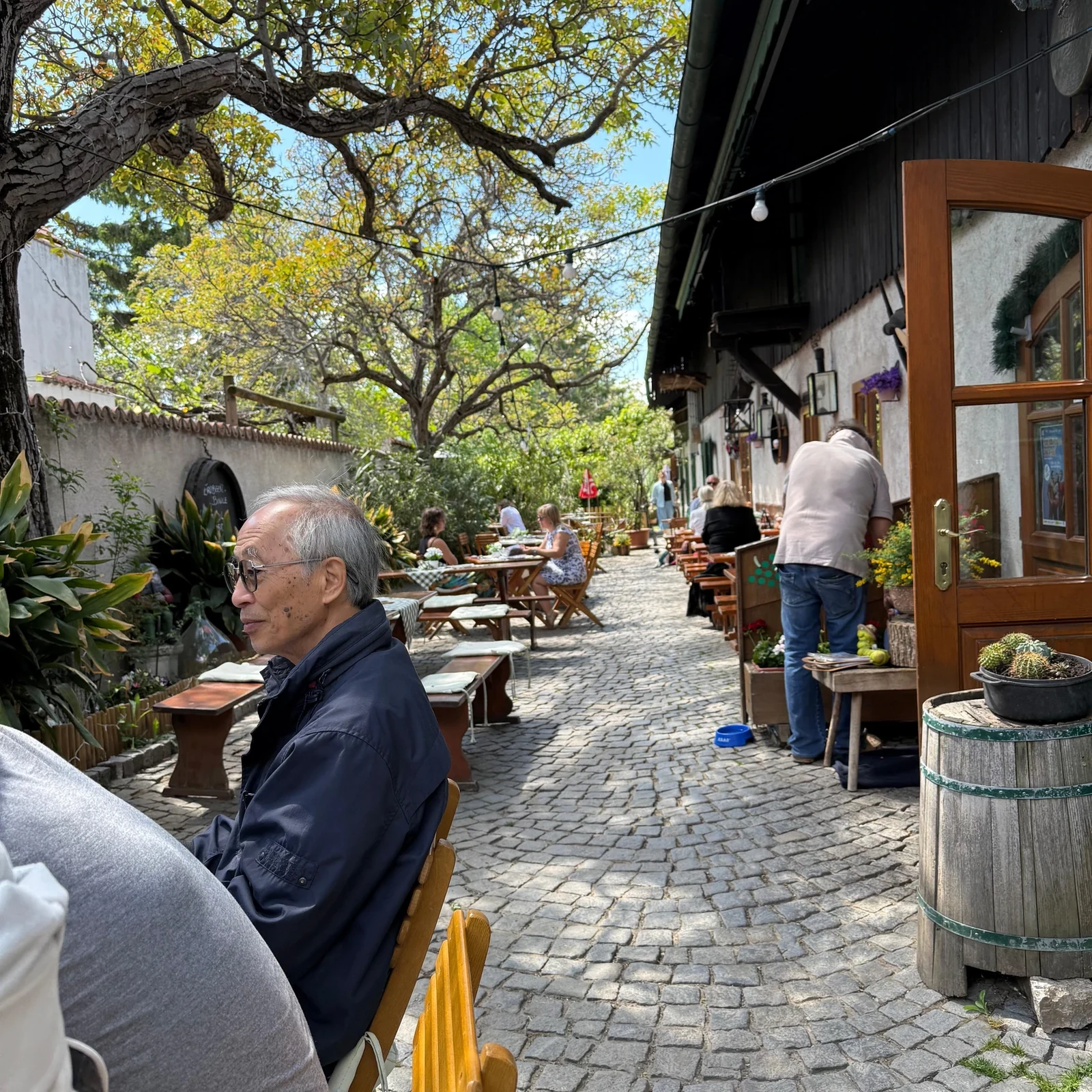 Les bois de Vienne, un lac souterrain et 3 vins en une seule sortie