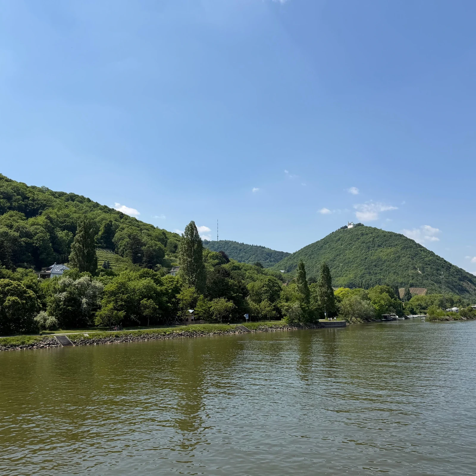 Découvrez Vienne depuis le Danube à un rythme tranquille