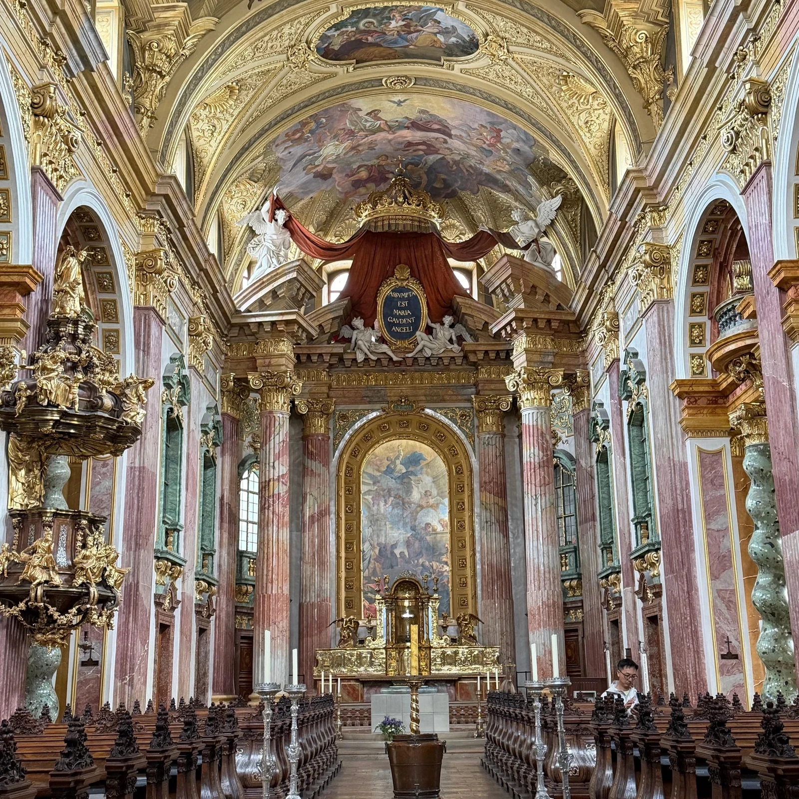 Explore Vienna at your own pace with a private guide