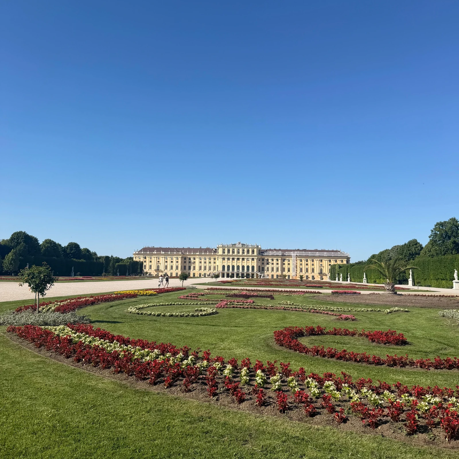 Comprende Schönbrunn con guía y acceso prioritario