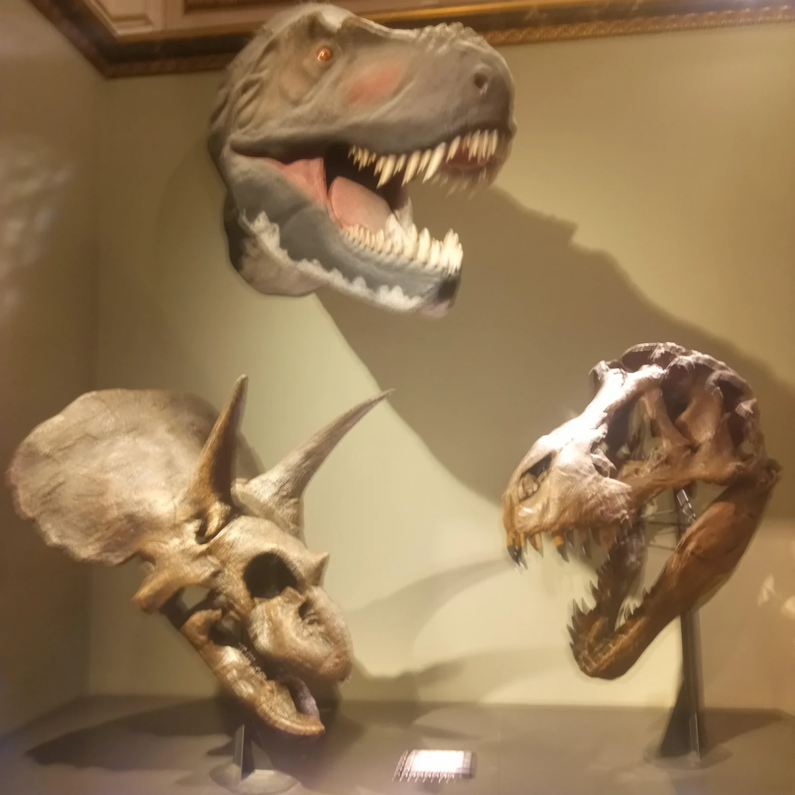 Explora el Museo de Historia Natural de Viena a tu ritmo