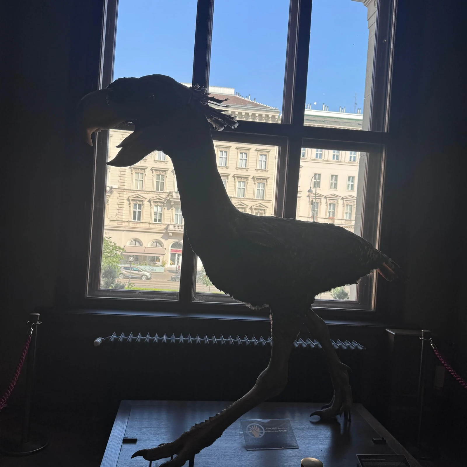 Erkunde das Naturhistorische Museum Wien in deinem Tempo